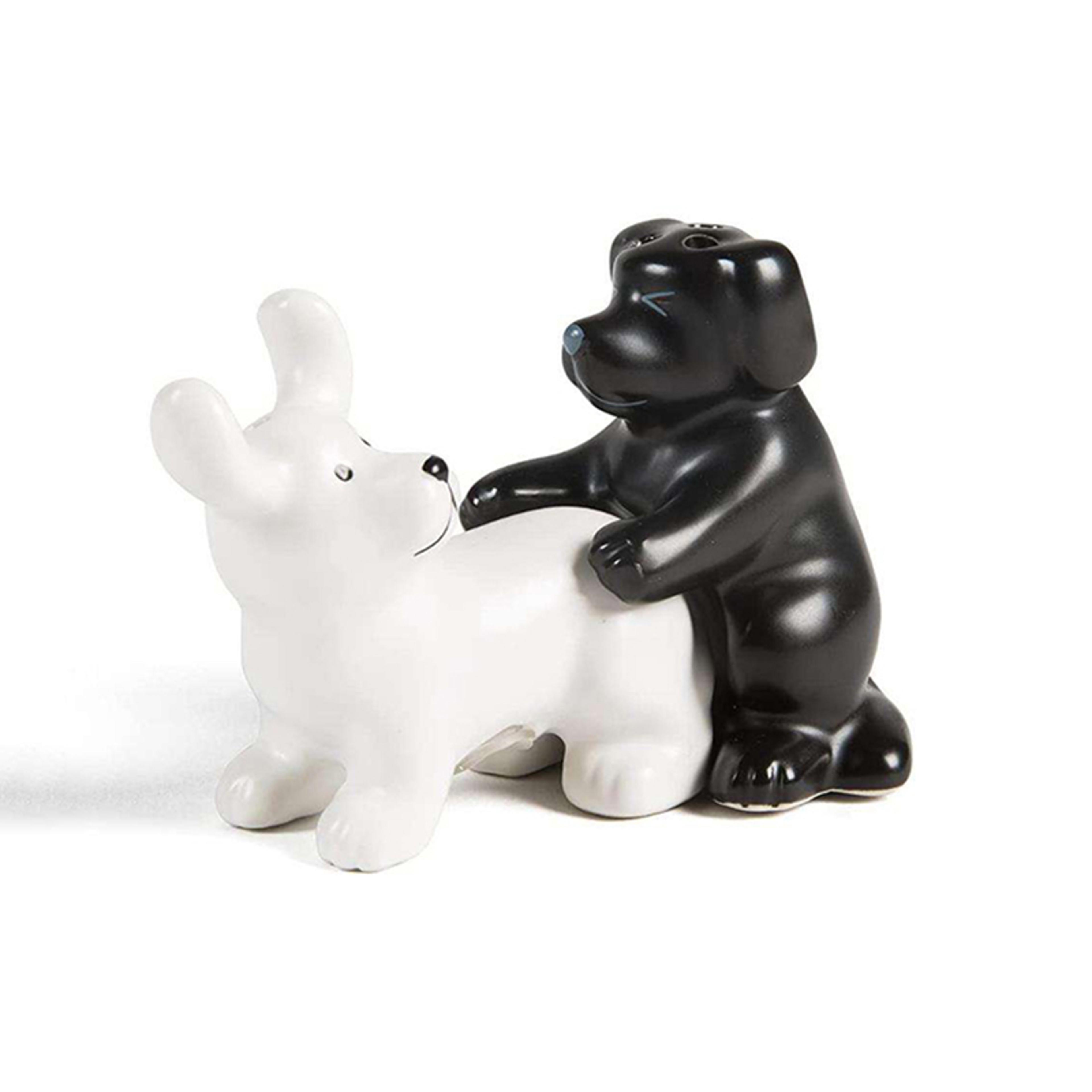 funny novelty ceramic dog salt and pepper shaker set, kitchen humor gift for dog lovers