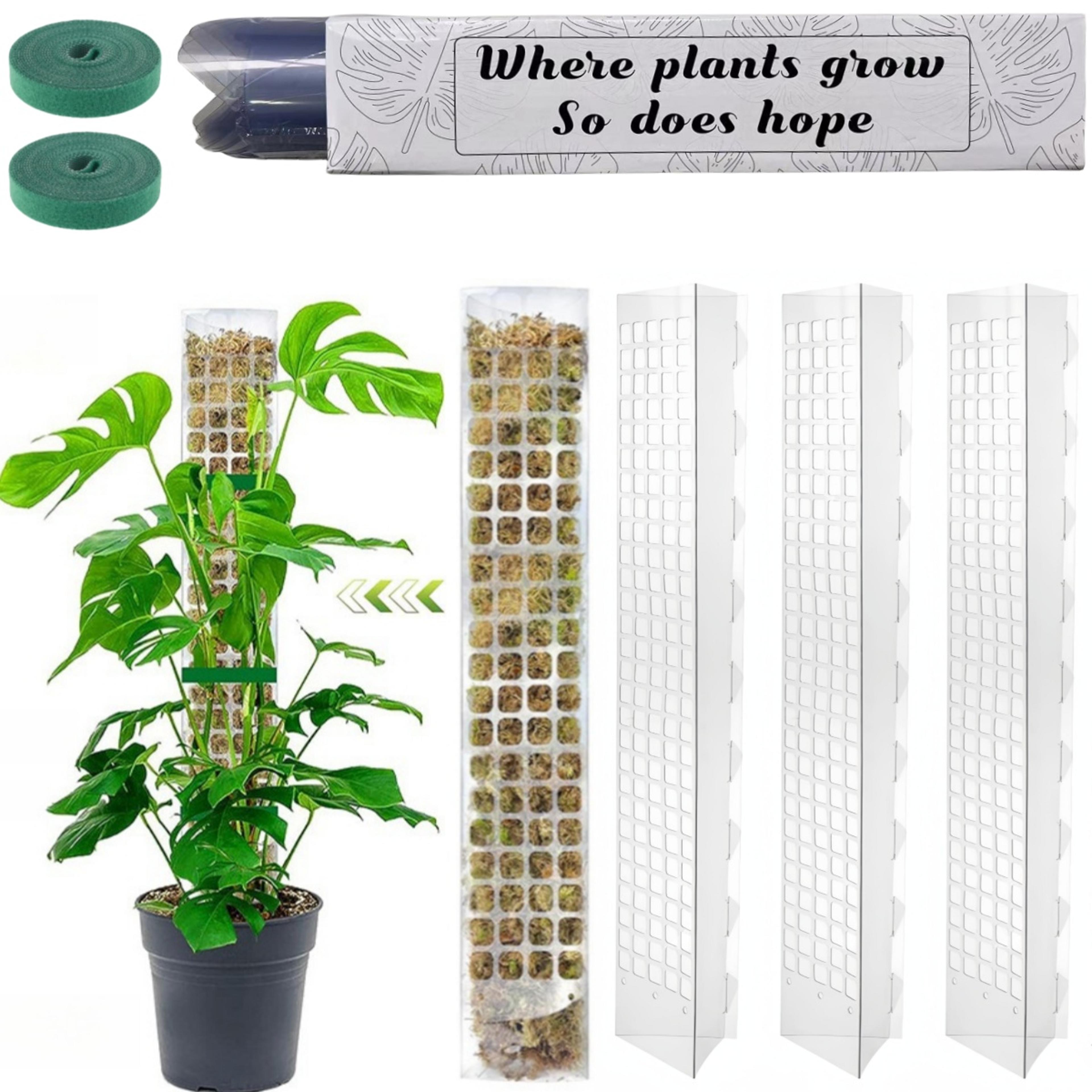 moss pole for indoor plants plant stand for climbing plant growth