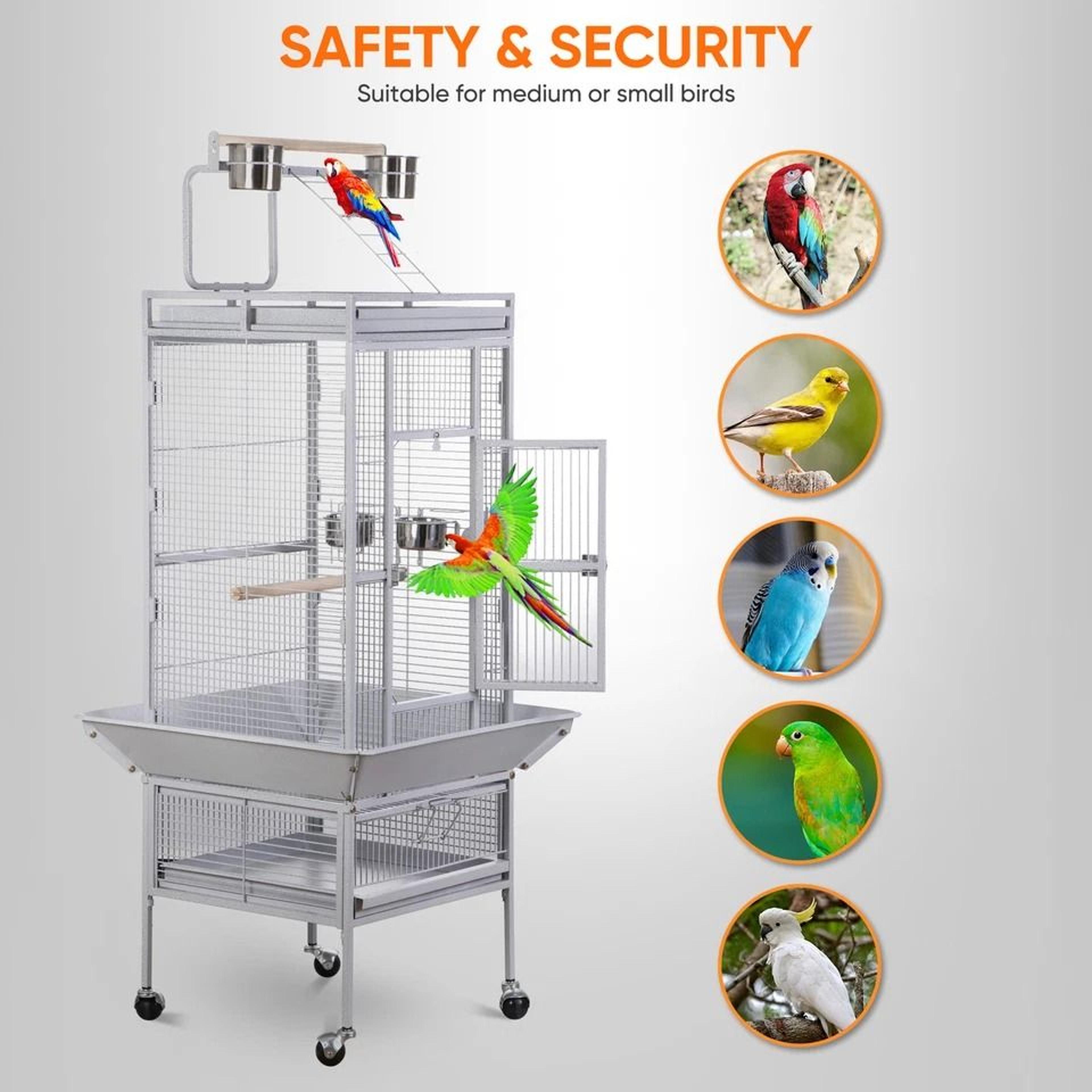 Playtop Parrot Cage Durable NonToxic Coated Steel Spacious Design With Ladder And Perches Removable 3