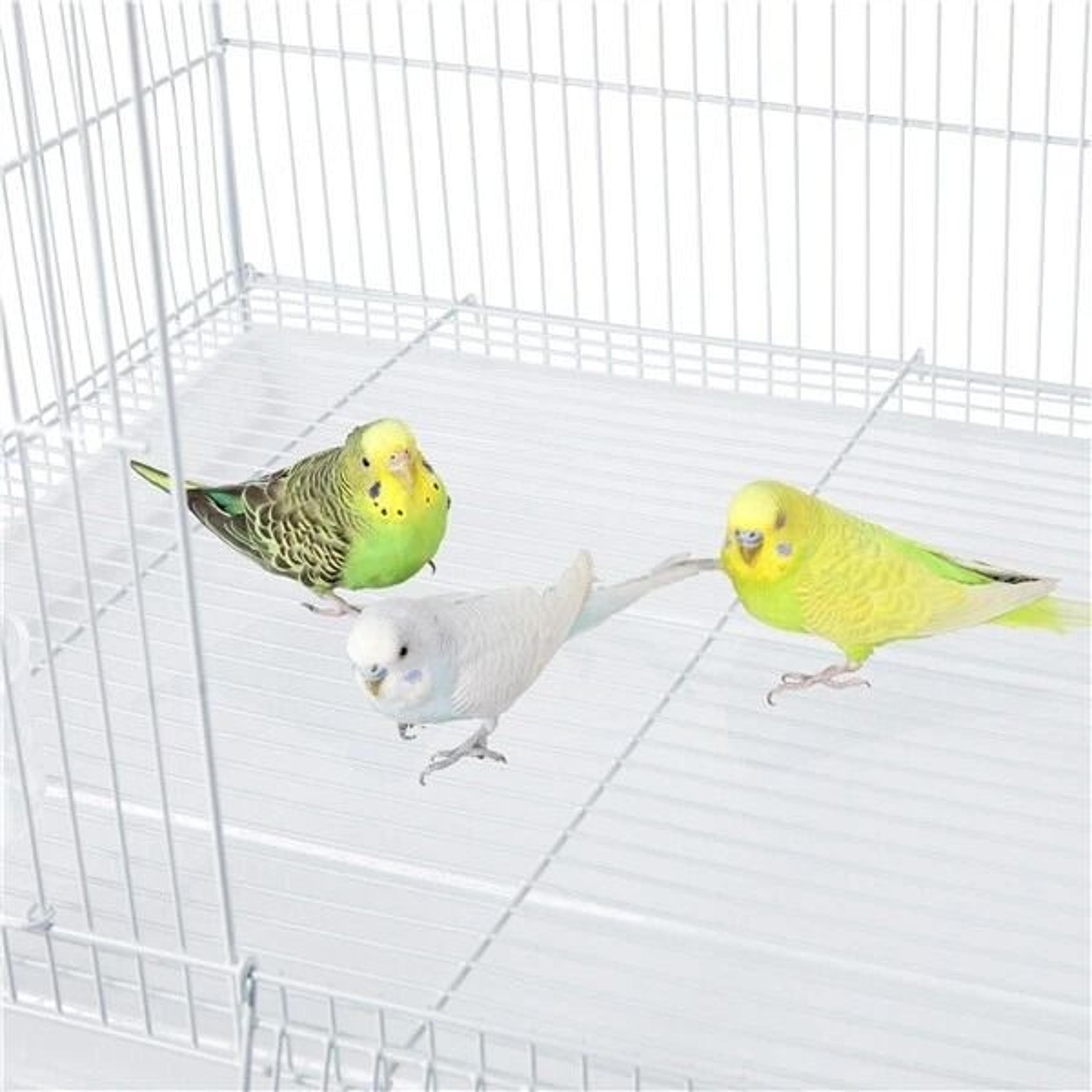 Cages For Parakeets Flight Bird Cage Lovebirds  Canaries Breeding Cage White Durable With Casters A 8