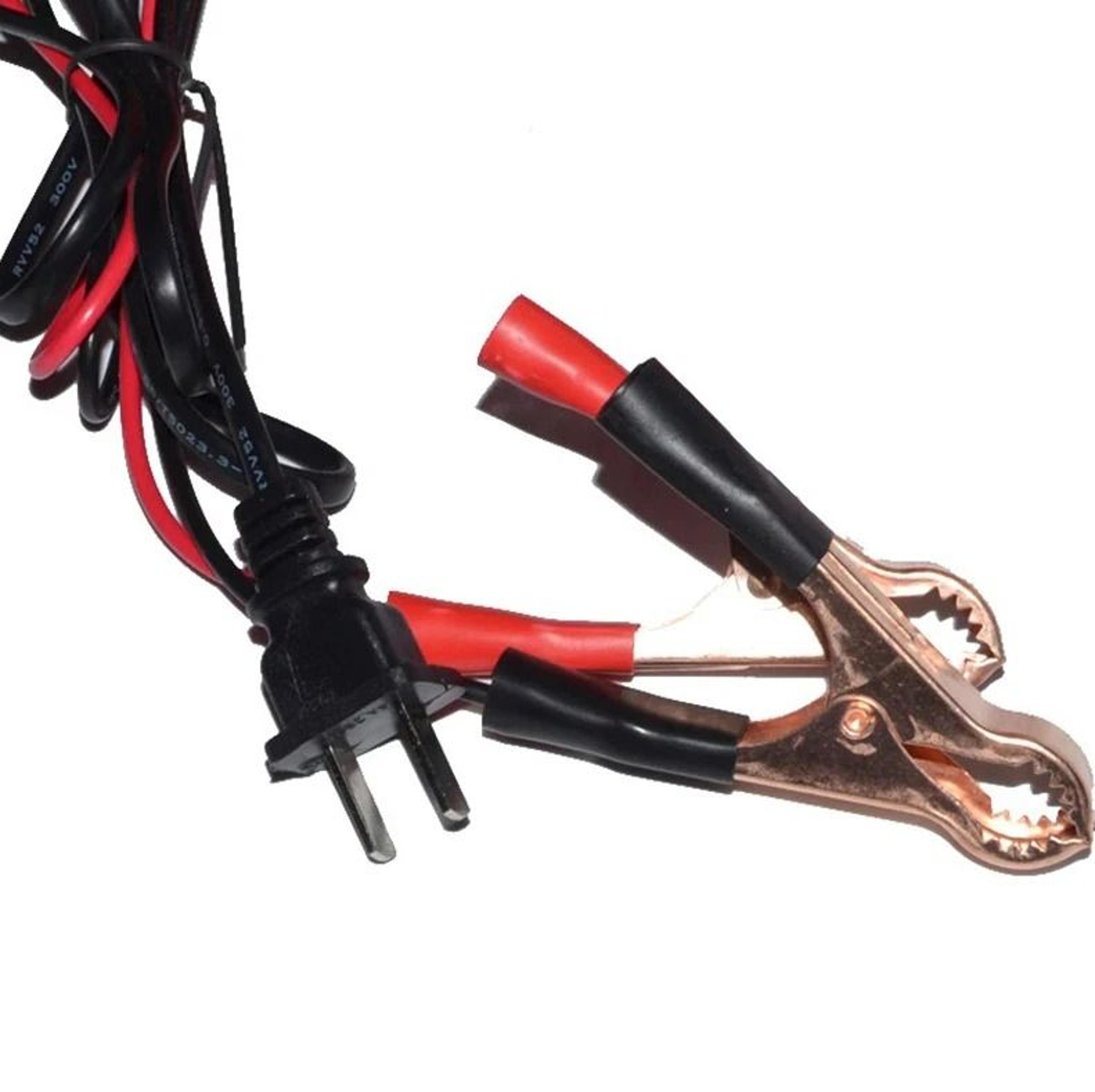 MaintenanceFree Battery Charger For Electric Vehicles Output 5