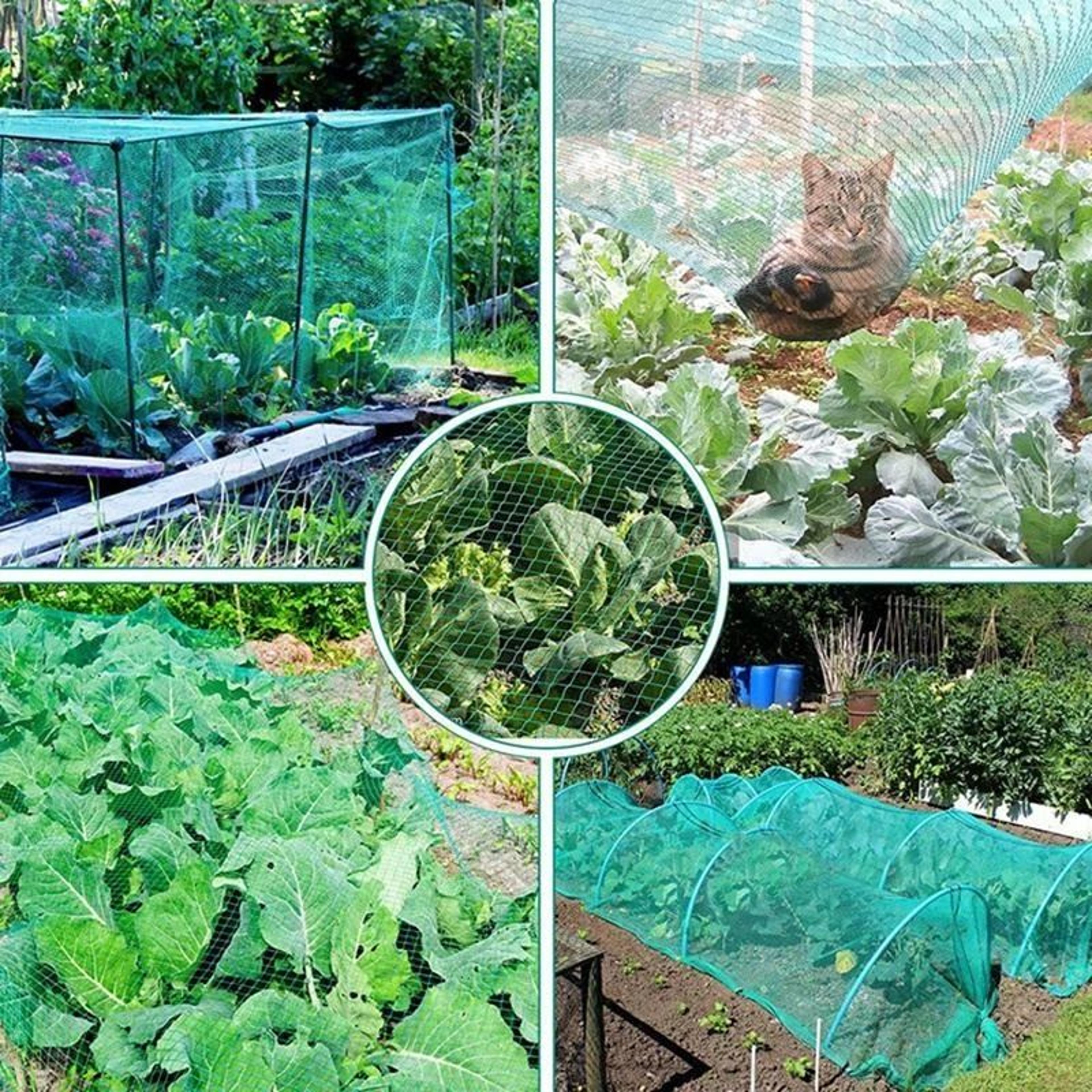 Durable Anti Bird Netting For Garden Plants Trees Fruits 2