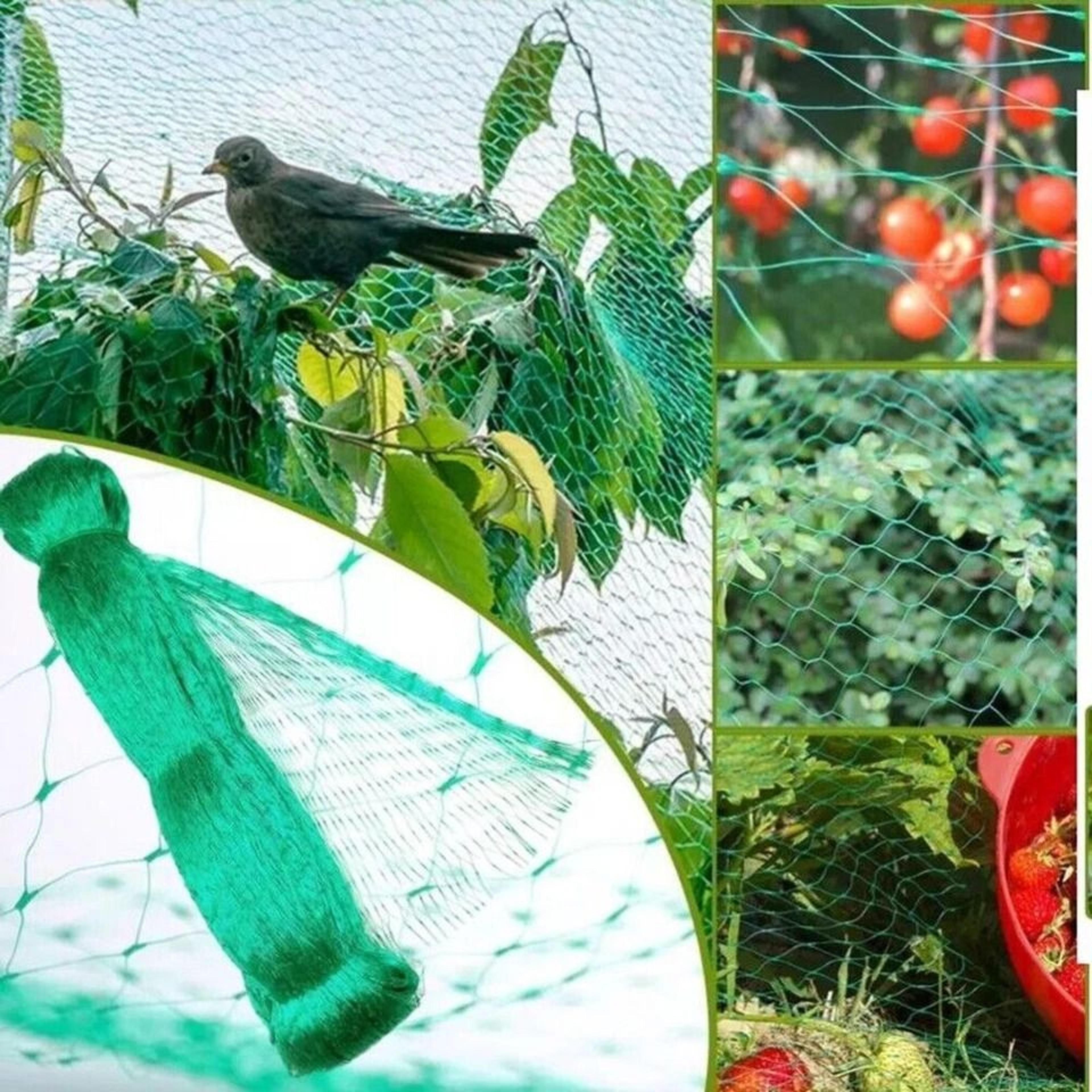 Durable Anti Bird Netting For Garden Plants Trees Fruits 1