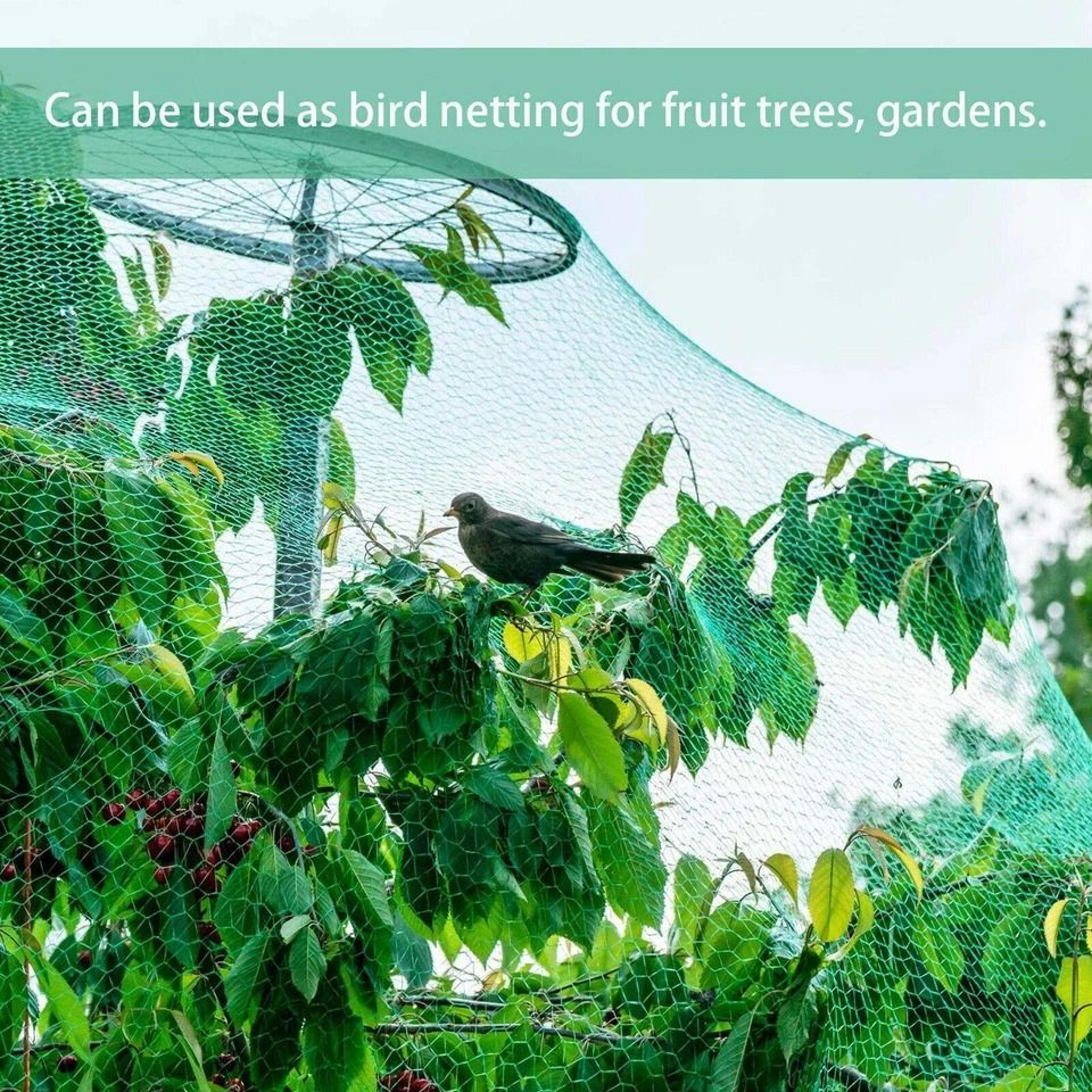 Durable Anti Bird Netting For Garden Plants Trees Fruits 6