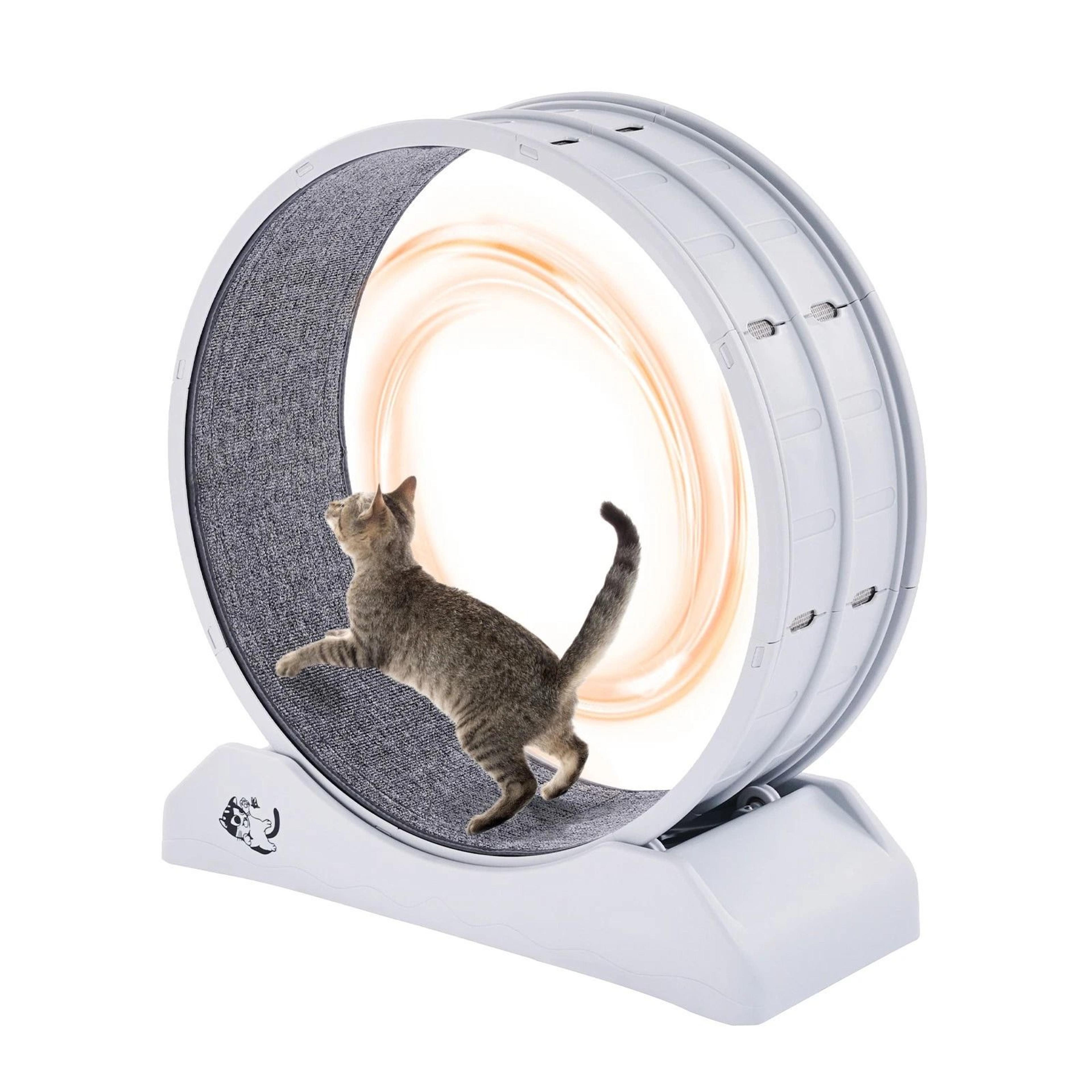 cat exercise wheel large indoor running wheel treadmill for cats, white