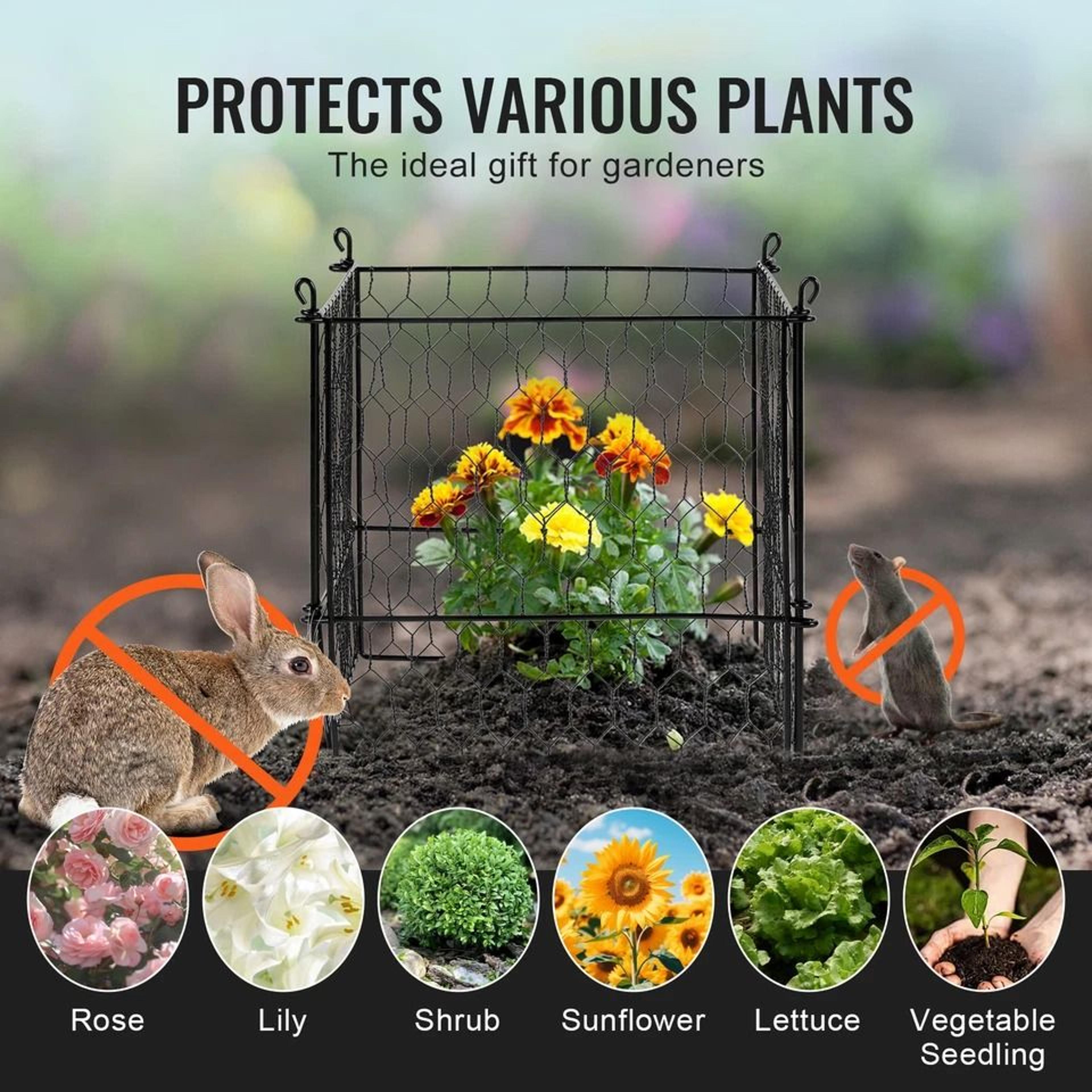Animal Protector Metal Plant Cage Garden Defense 8