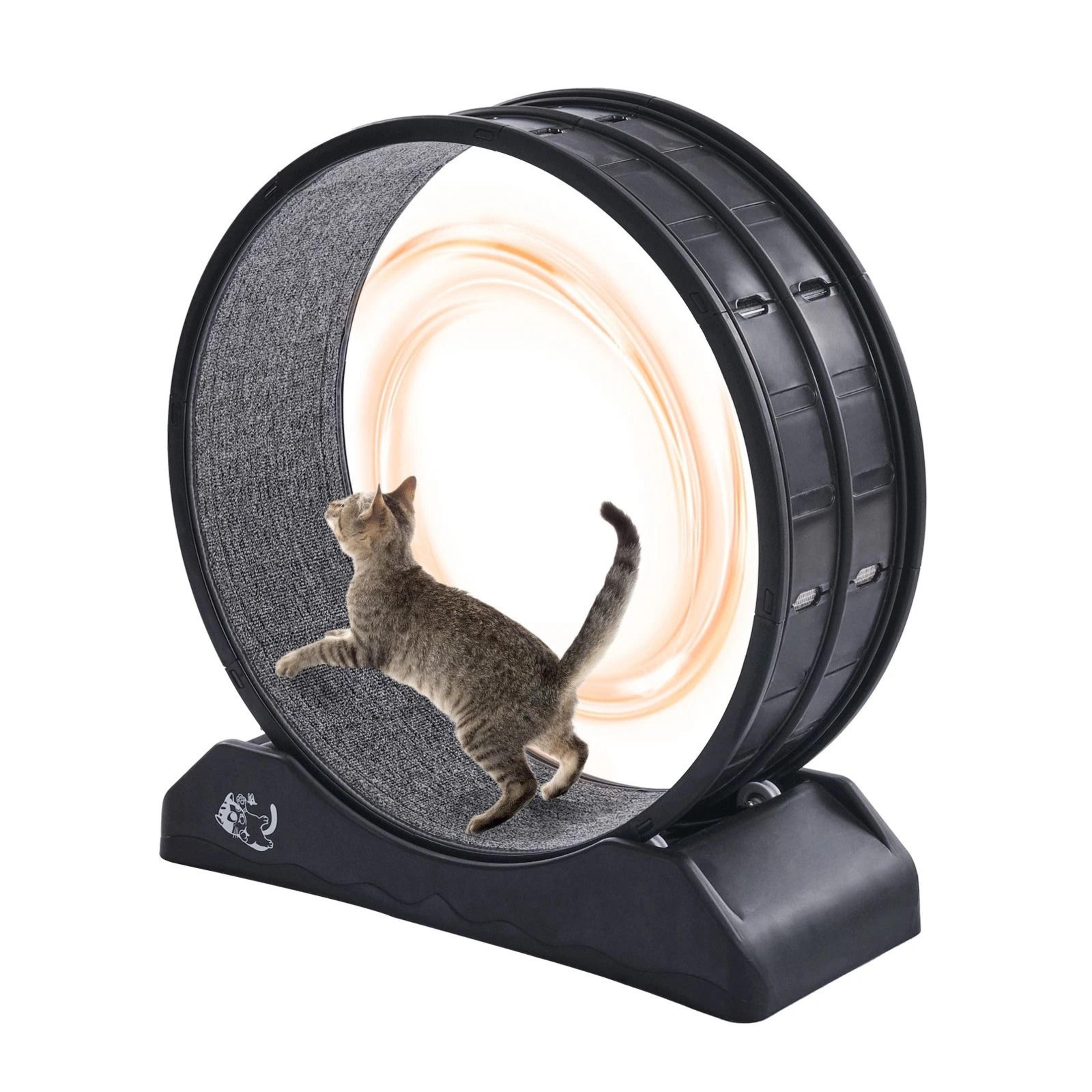 large cat exercise wheel indoor running treadmill for active cats