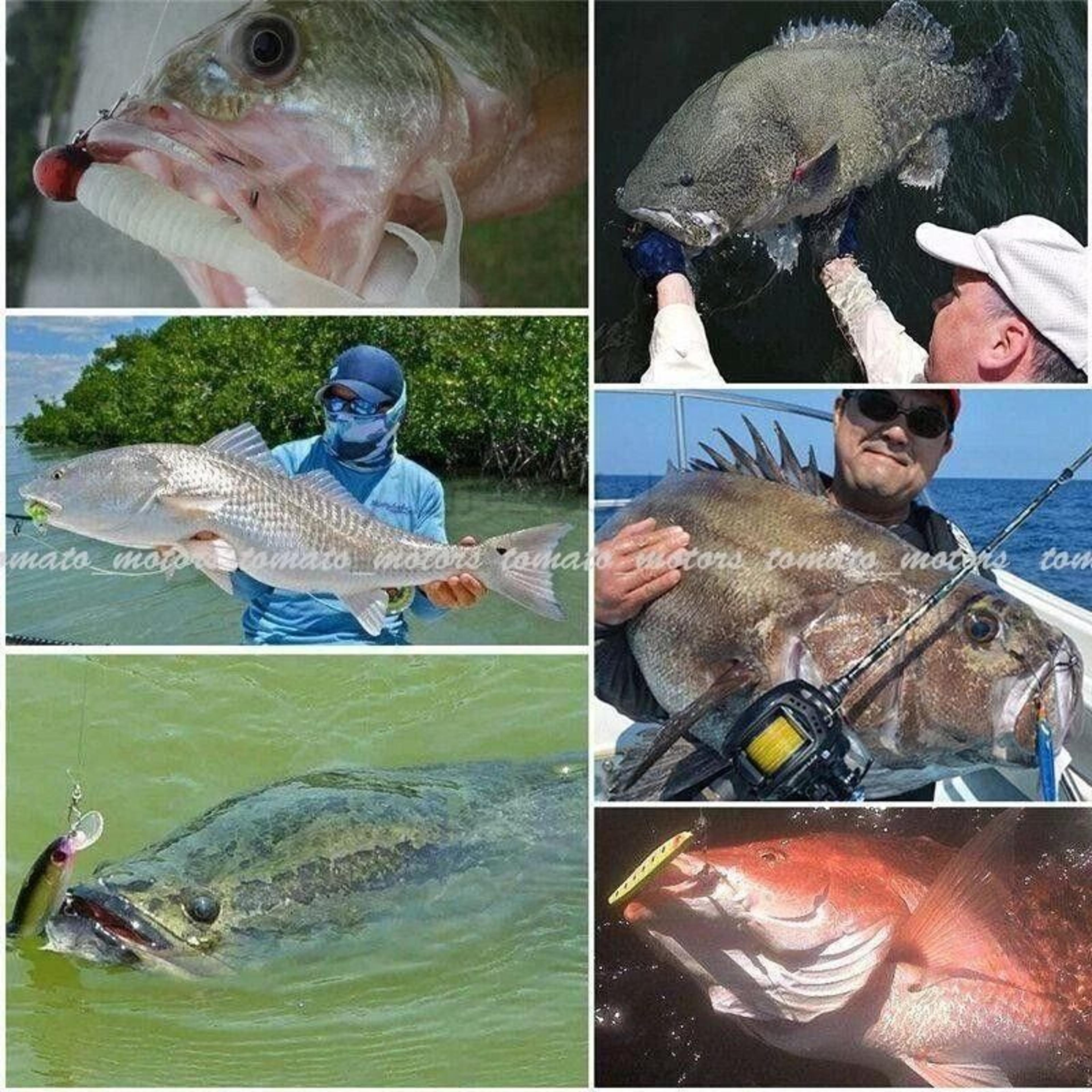 Lot Kinds Of Fishing Lures Crankbaits Hooks Minnow Baits Tackle Crank 9