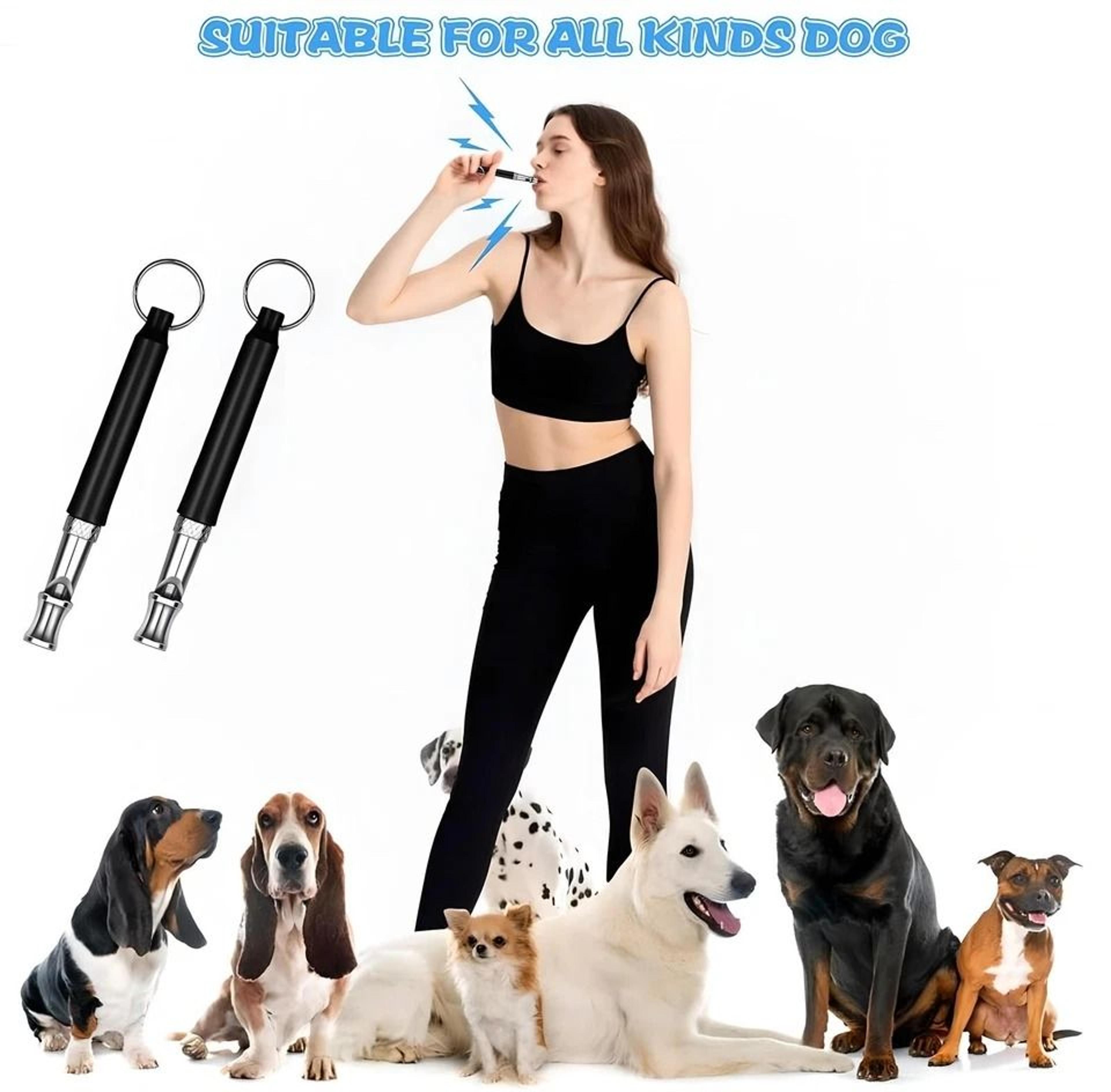 Ultrasonic Dog Whistle For Recall Training And Bark Control 2