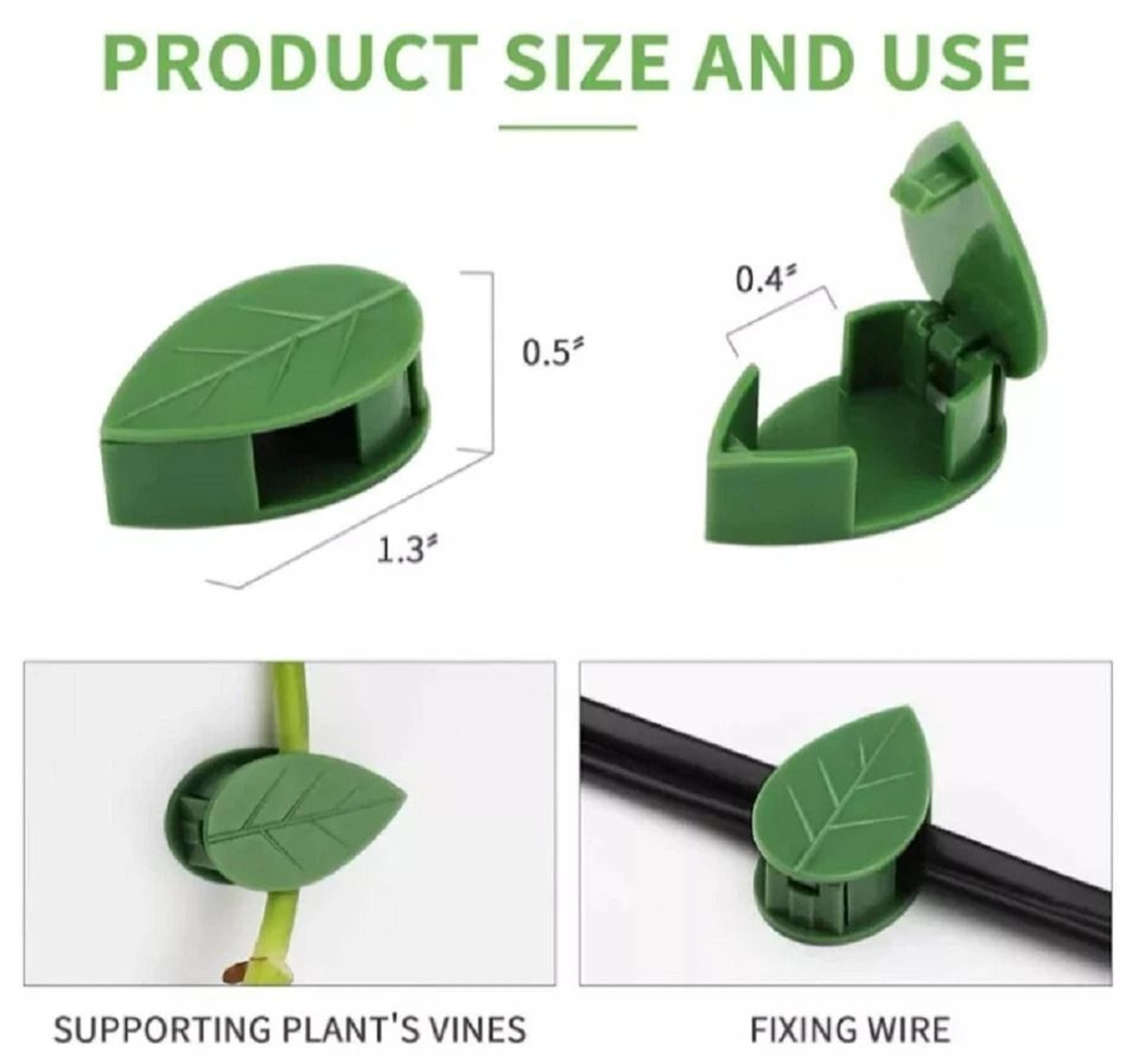 Self Adhesive Plant Clips For Wall Vine Support Ideal For Climbing Plants And Indoor Decor 5