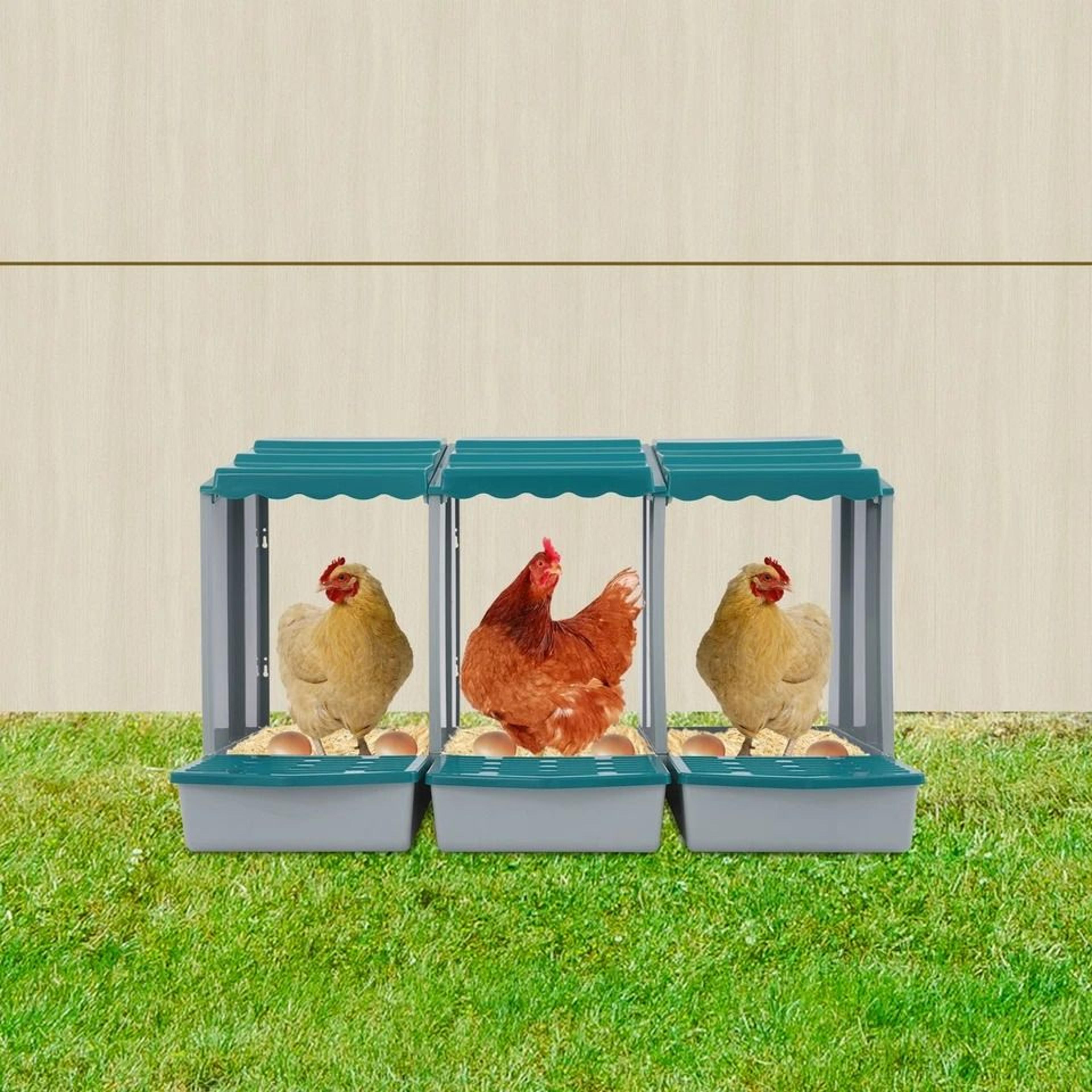 Premium Compartment Chicken Nesting Box For Easy Egg Collection Durable Chicken Egg Laying Box For  9