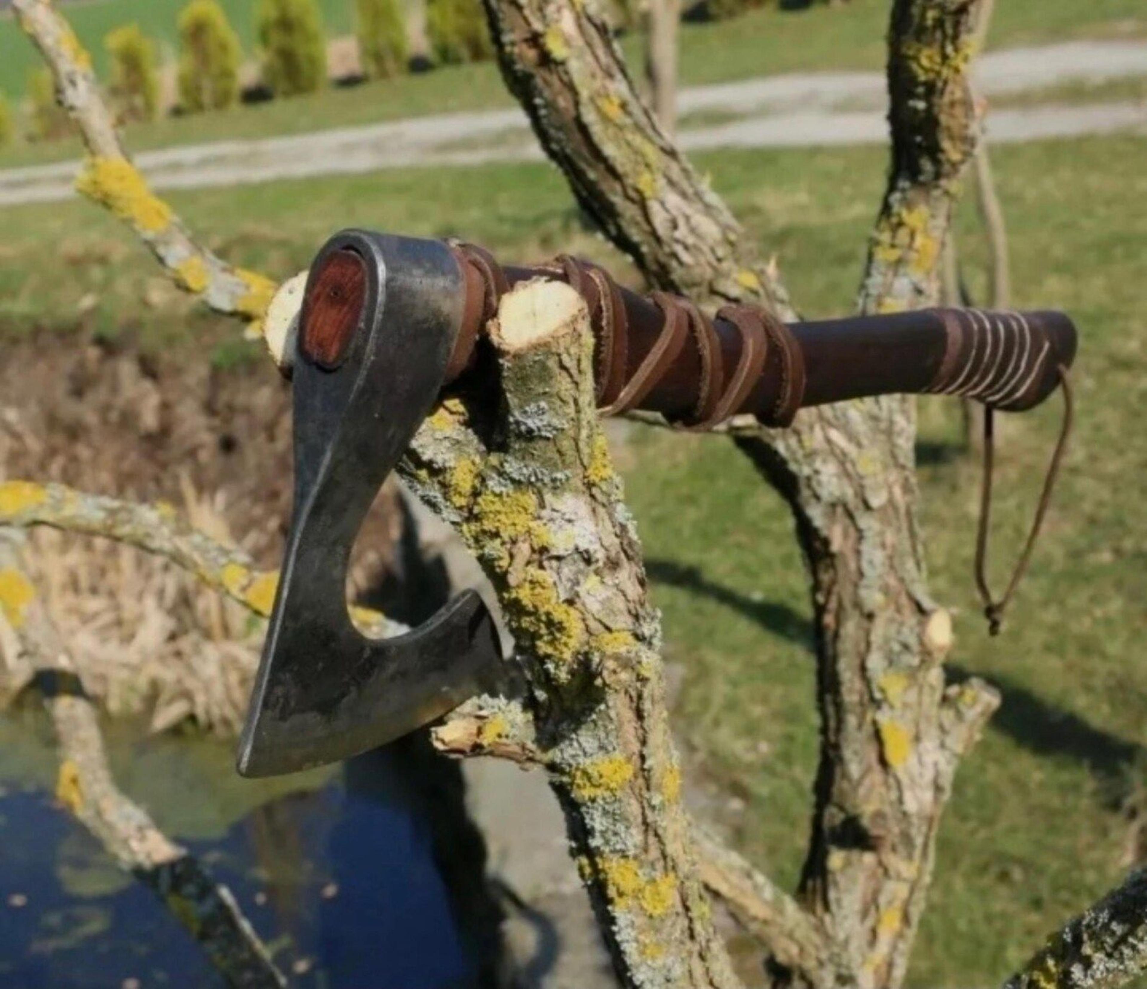 Norse Inspired Carbon Steel Axe With Rosewood Handle 1