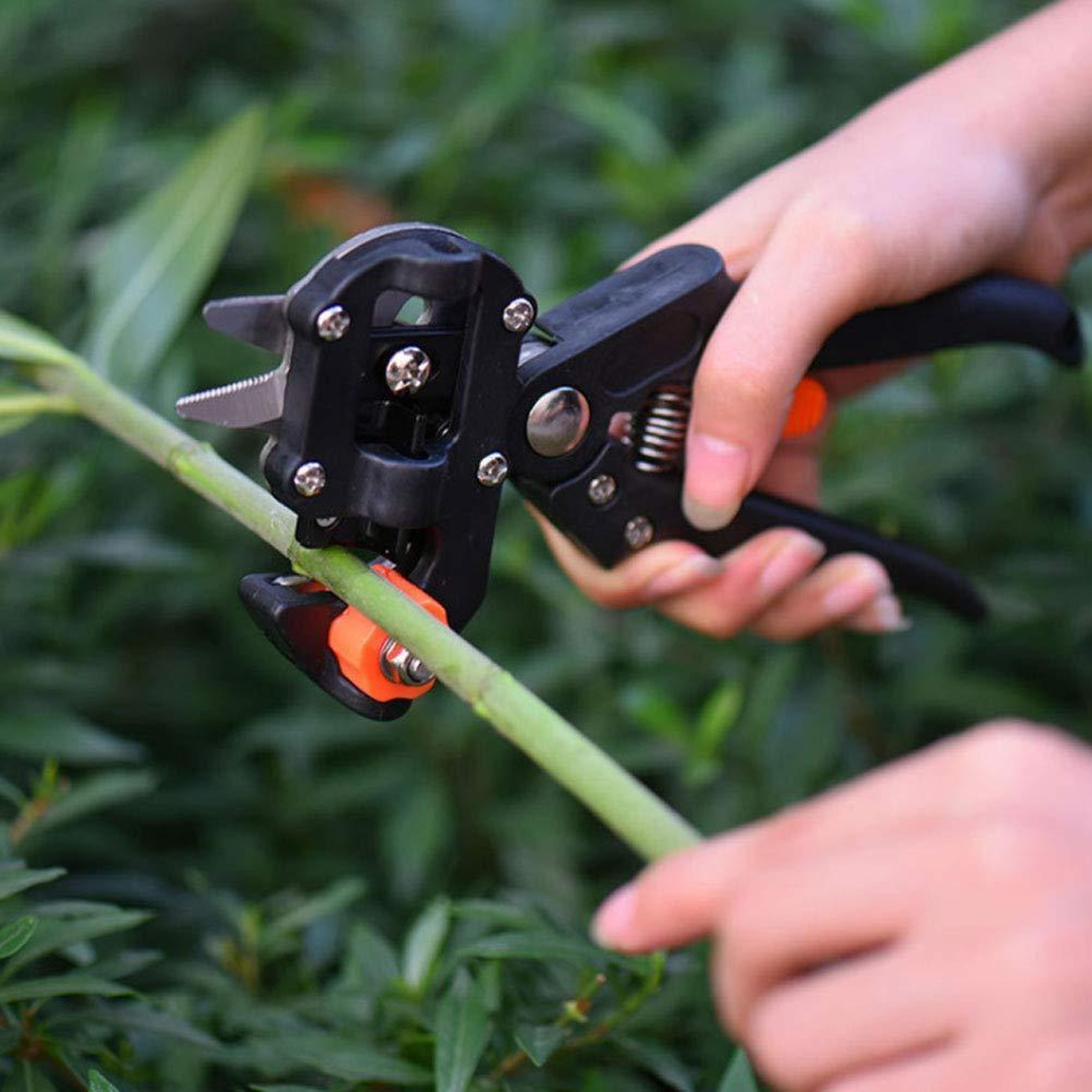 professional tree grafting tool kit for precise fruit tree and plant grafting