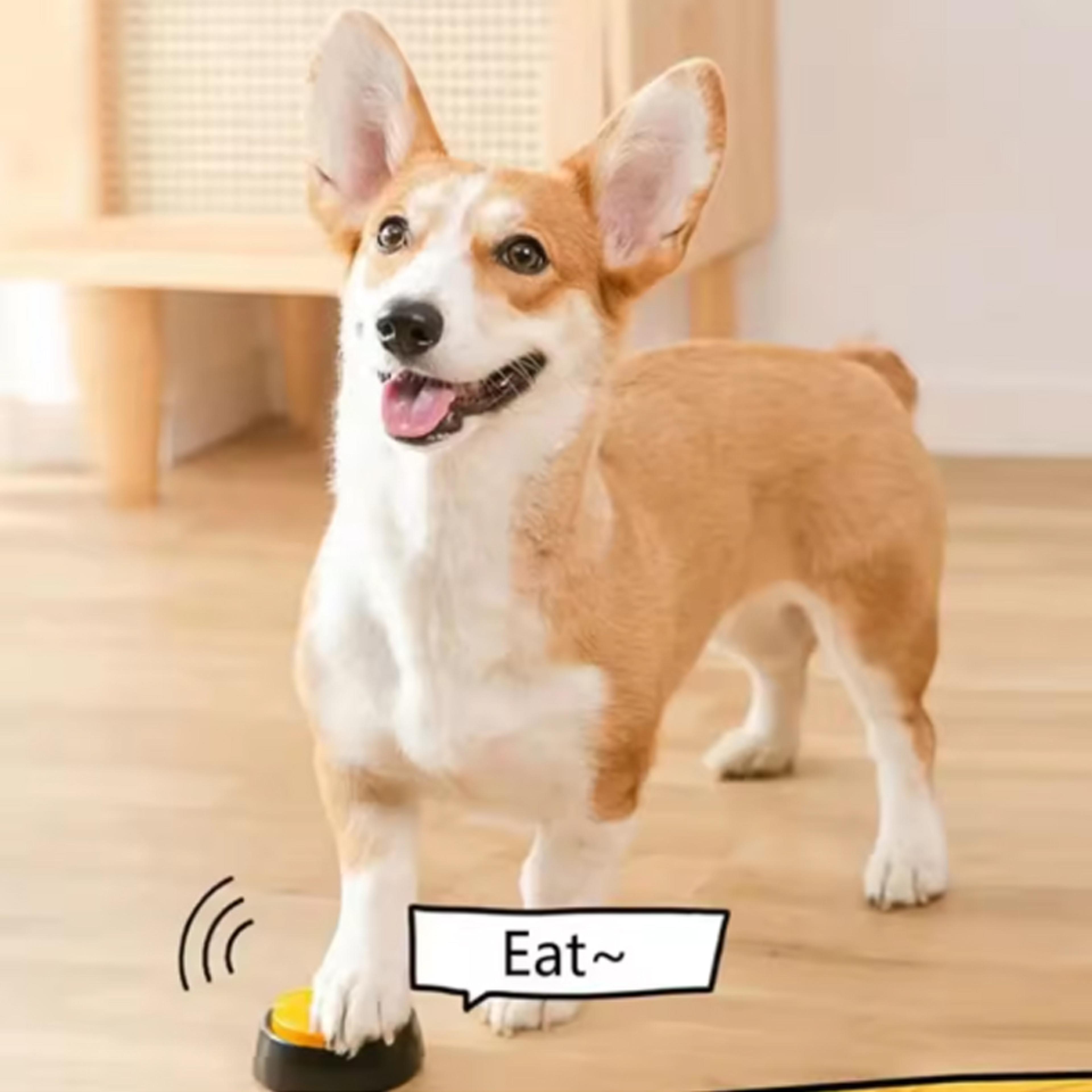 Recordable Dog Talking Buttons Interactive Pet Communication Toy Portable Recordable Dog Toy  Dog T 3