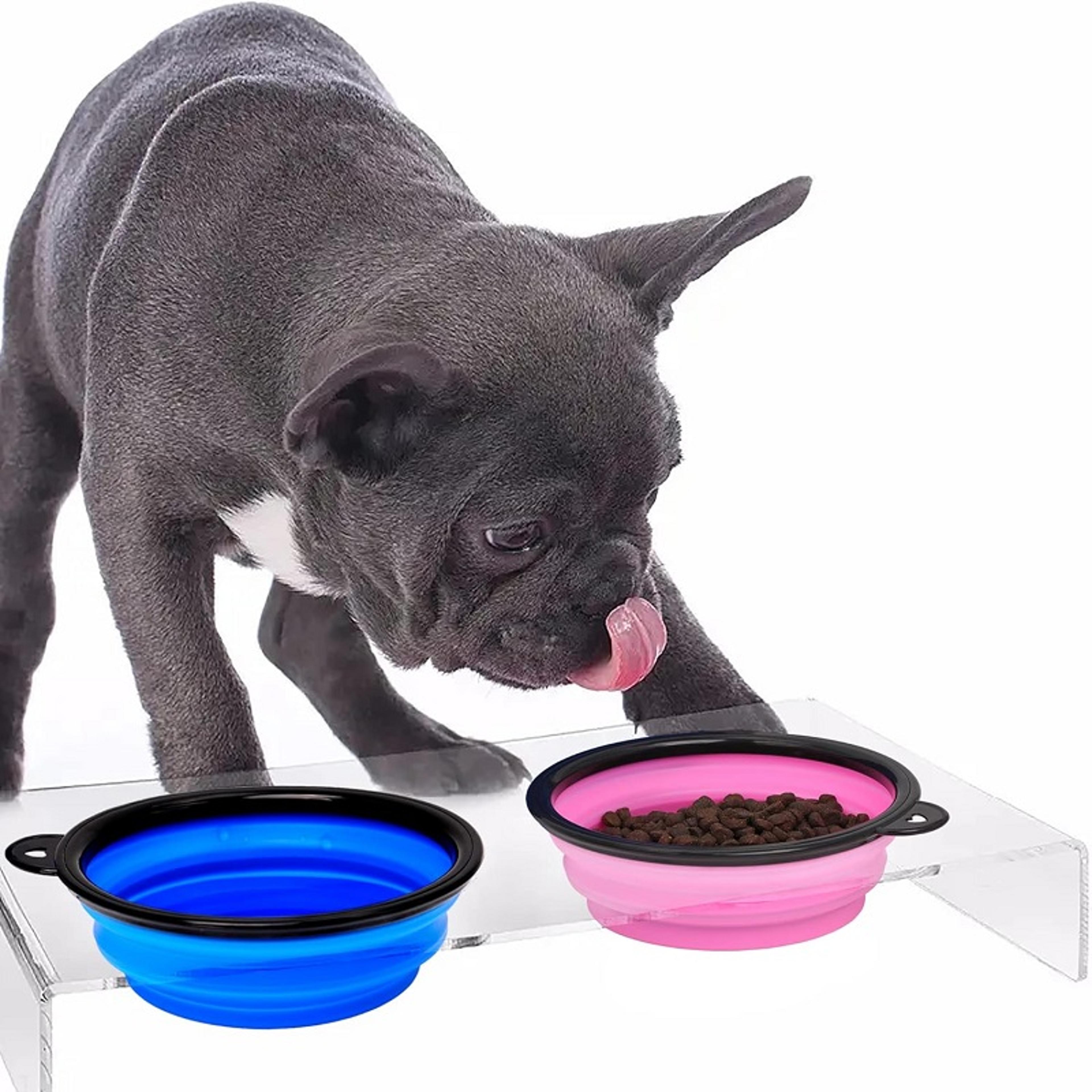 Portable Dog Water Bottle  Travel Dog Bowl Silicone Pet Feeder With Carabiner 2
