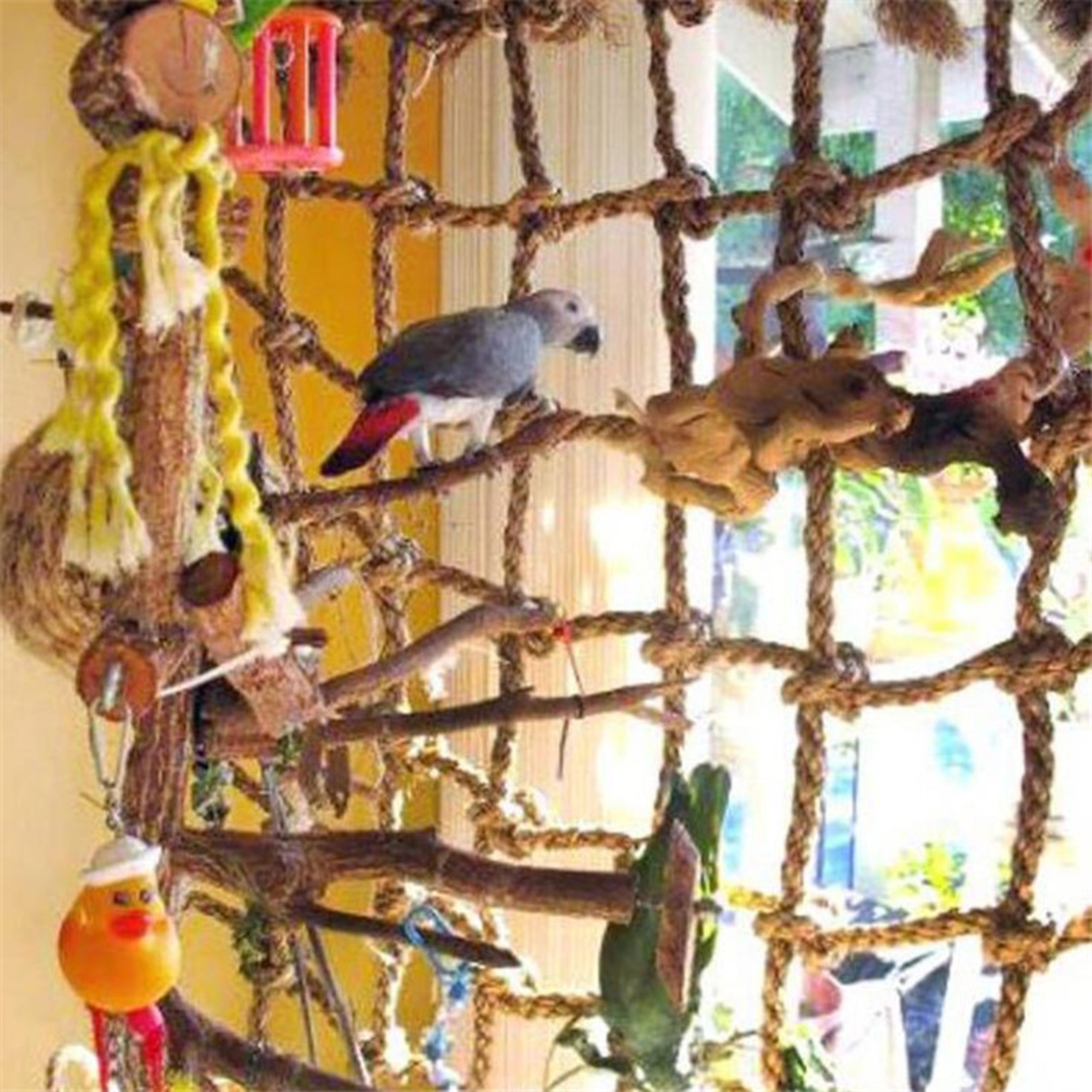 parrot climbing net bird toy with hook - eco-friendly rope hammock for birds to swing, climb, and chew