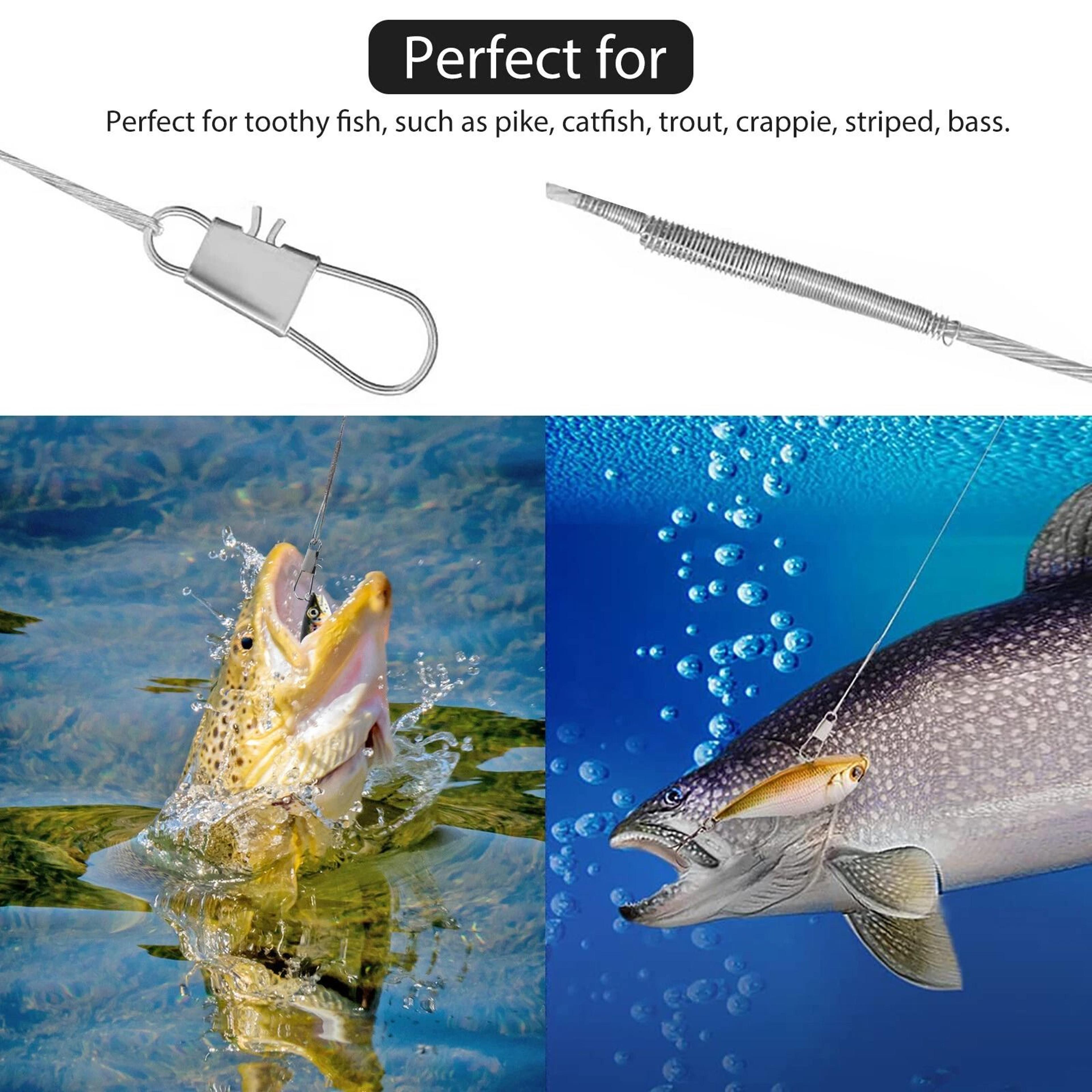 Stainless Steel Fishing Leader Wire  Fish Lure Trace Durable NylonCoated With Snap Hooks 4