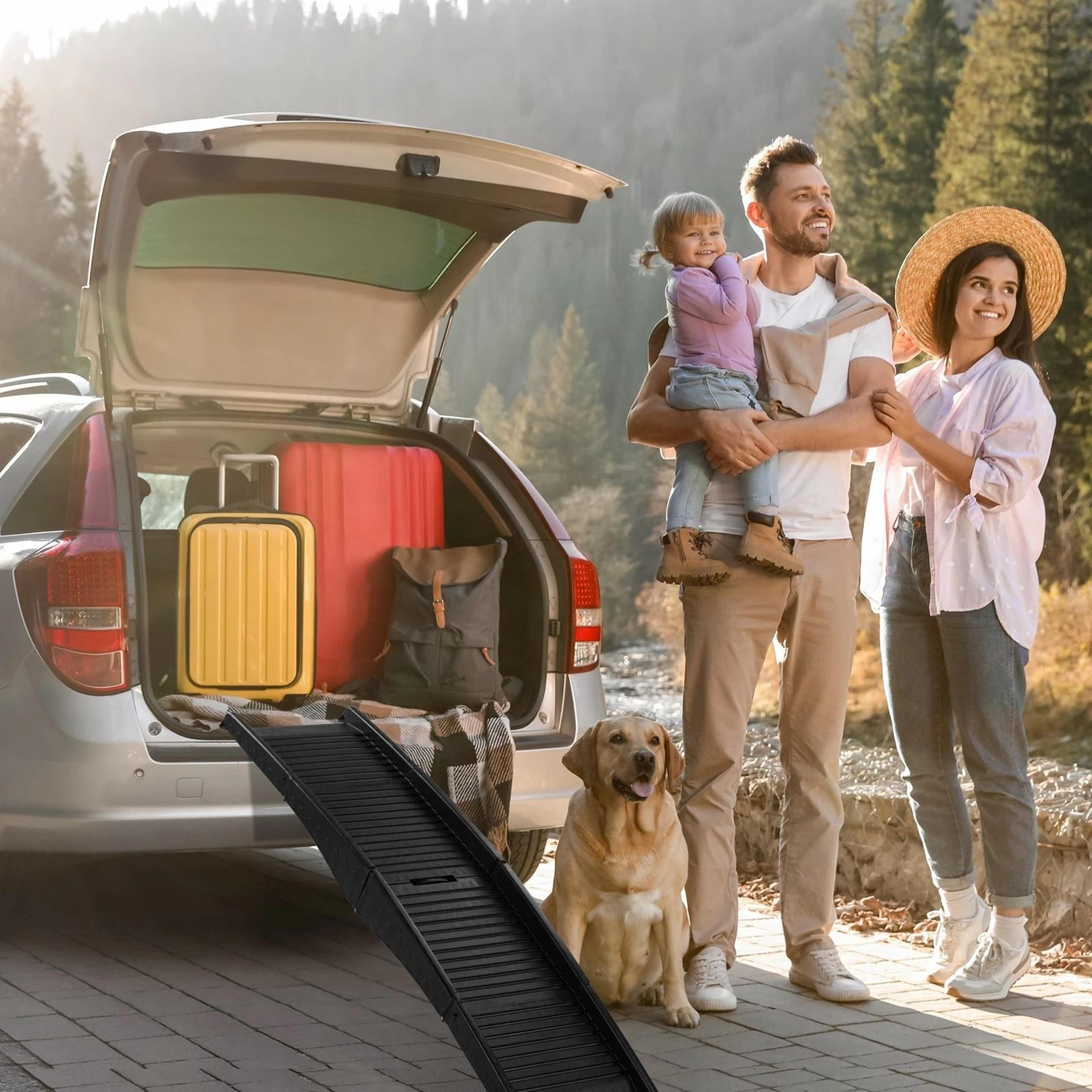 portable dog ramp – folding non-slip pet ramp