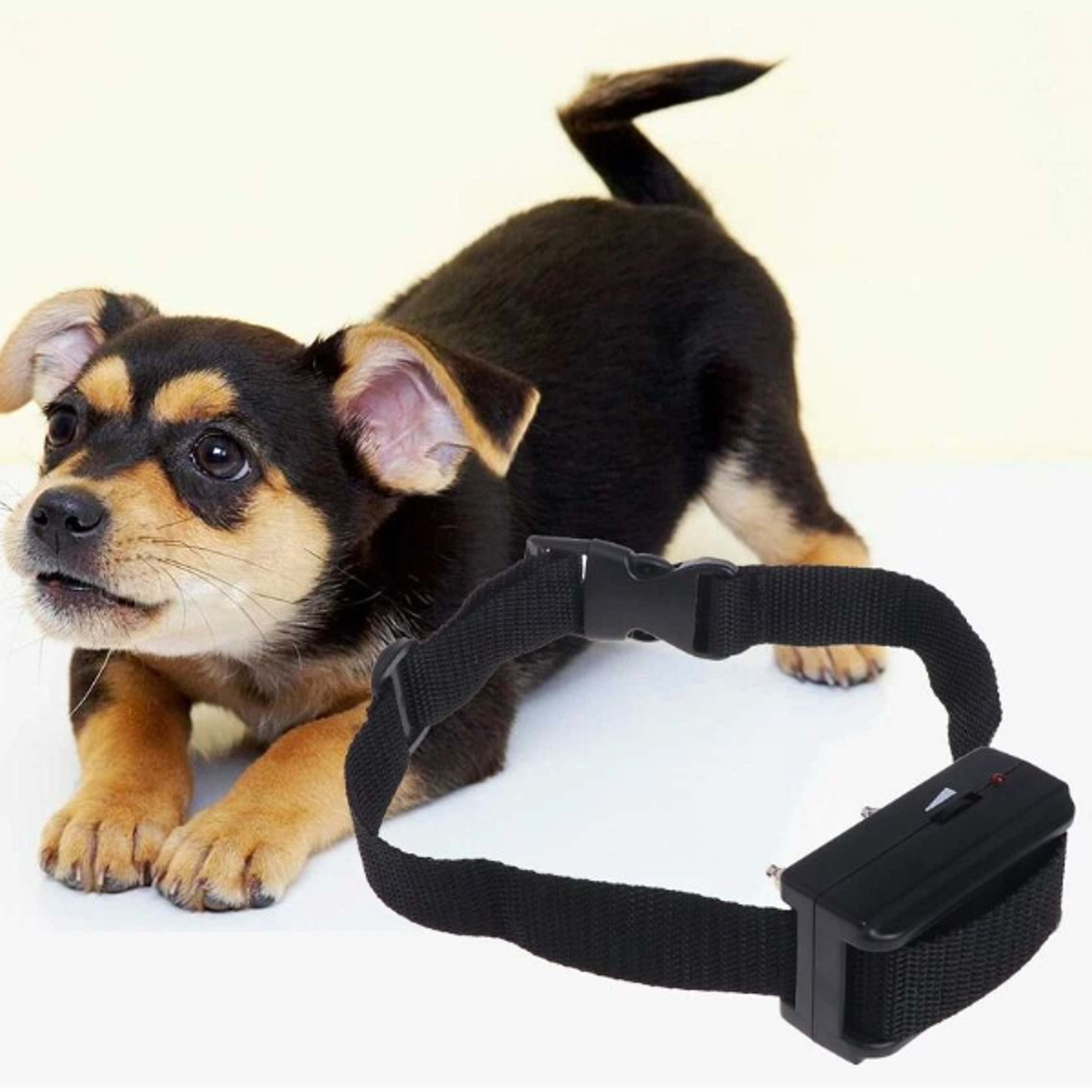 no barking shock control collar for dogs with adjustable anti bark training