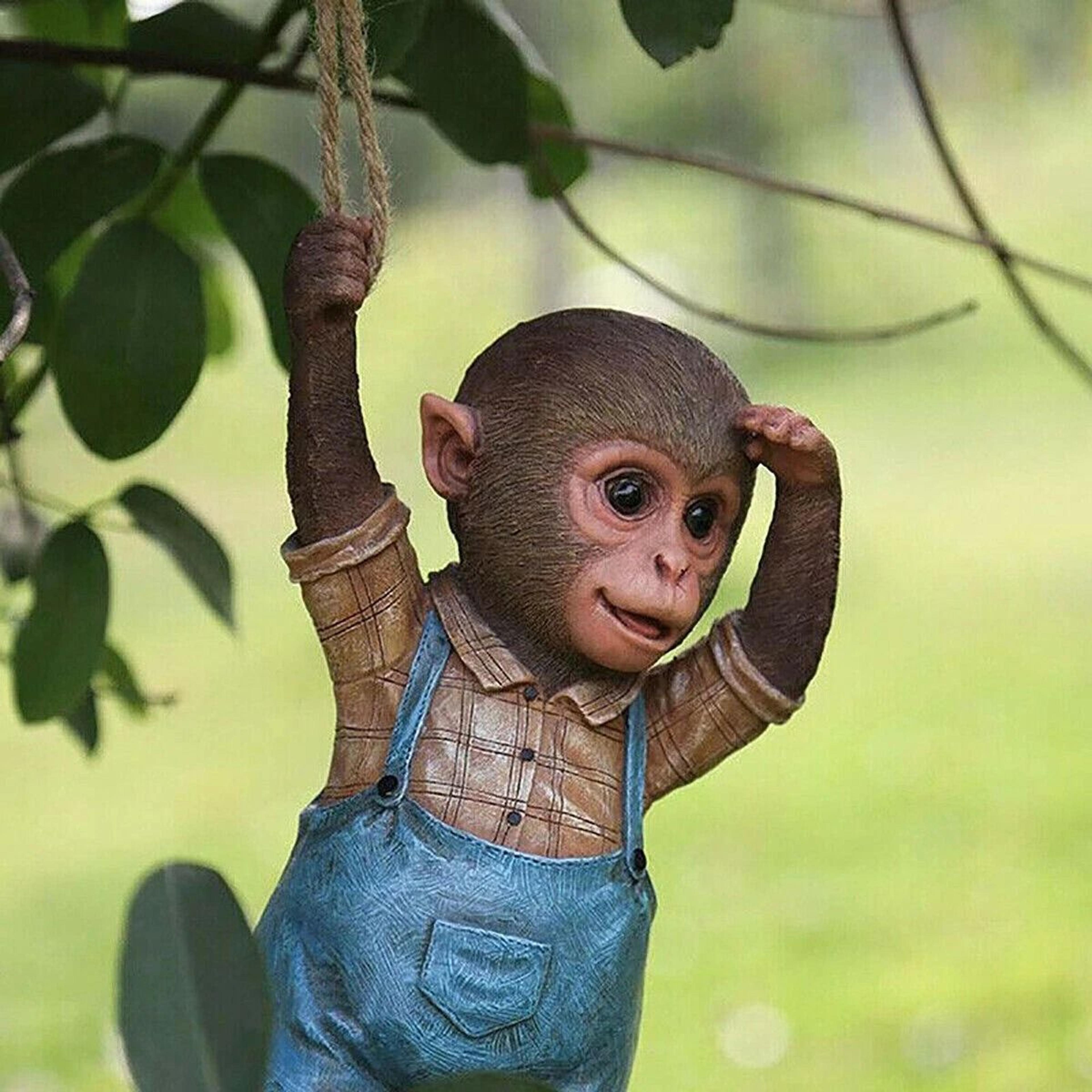 Monkey Chimp Hanging Rope Garden Ornament  Outdoor Resin Statue Sculpture For Lawn  Patio Decor 5