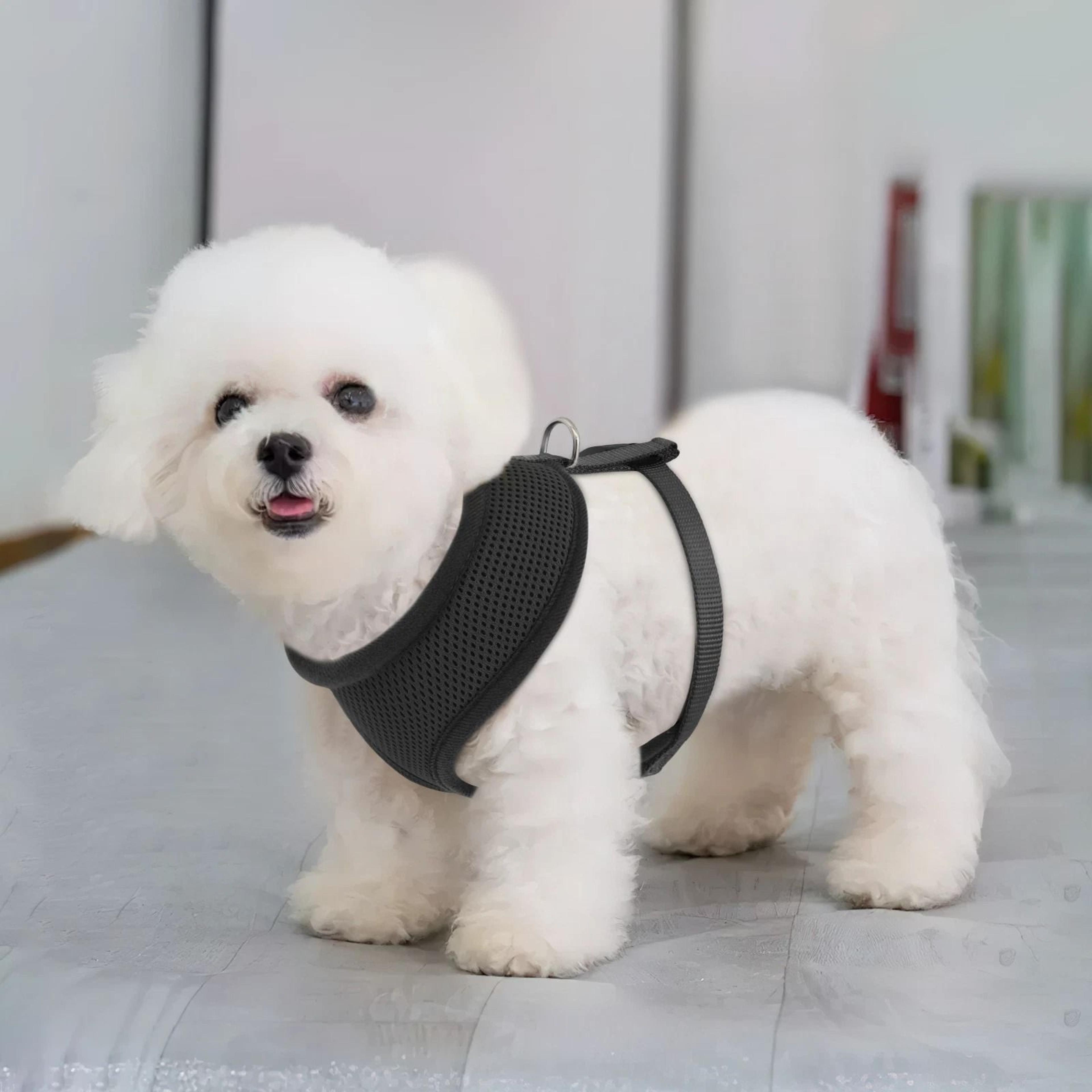 Adjustable Dog Harness  Breathable Mesh Reflective Jacket For Puppies  Small Dogs 4