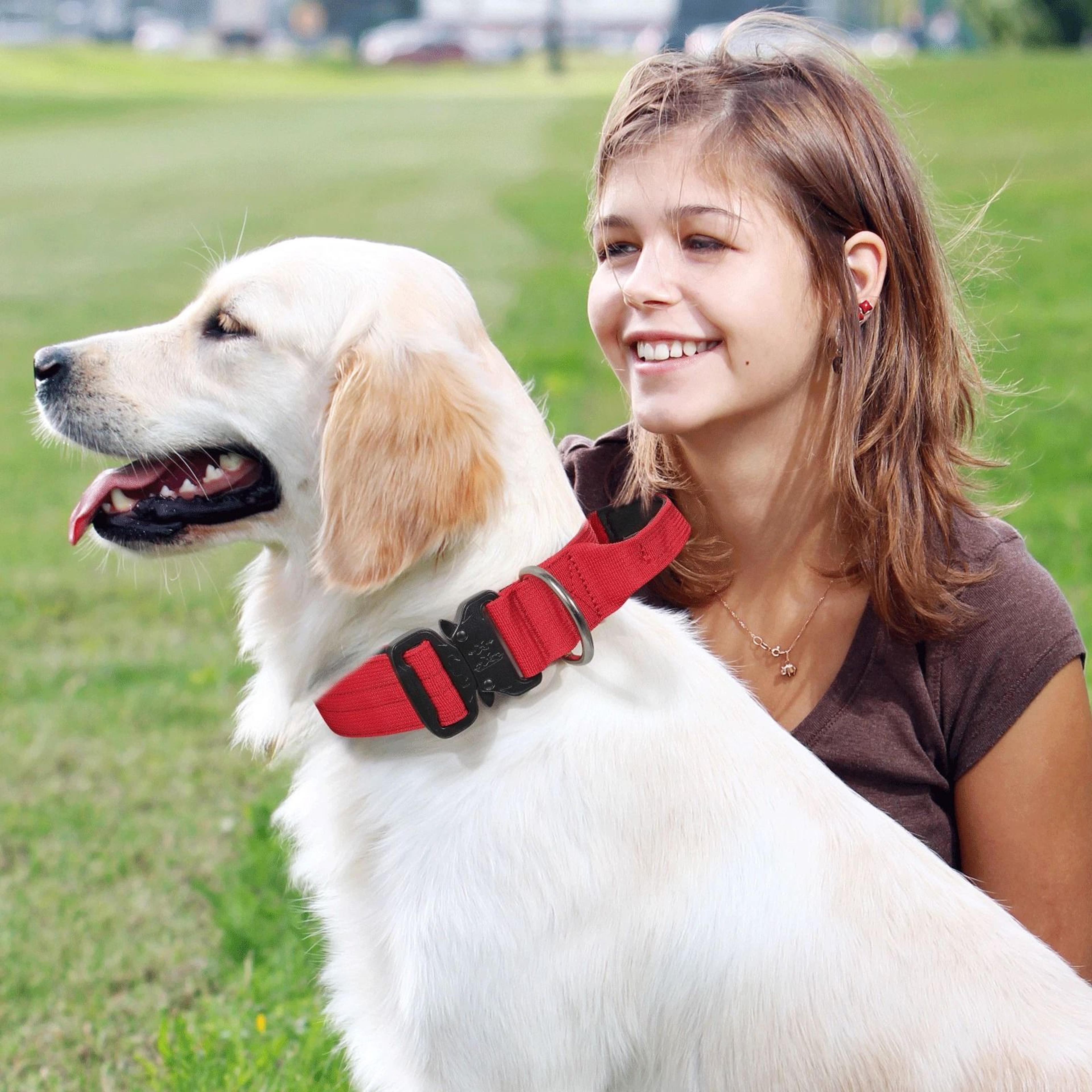 Reflective Nylon Dog Collar With Handle  Adjustable Comfortable Soft Puppy Neck Collar For Safe Wal 1