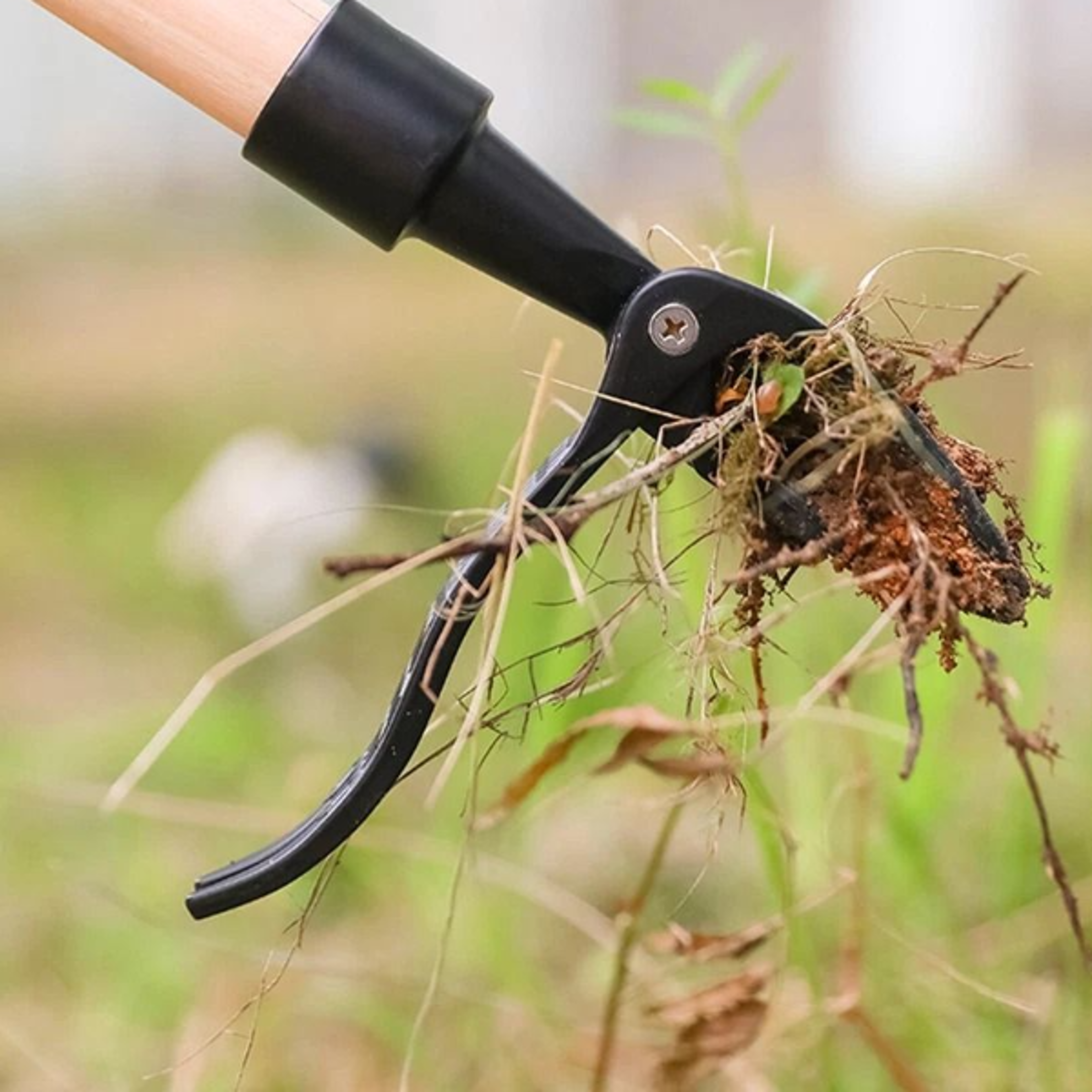 stand up weed puller tool for garden rust proof weed root remover with comfortable handle