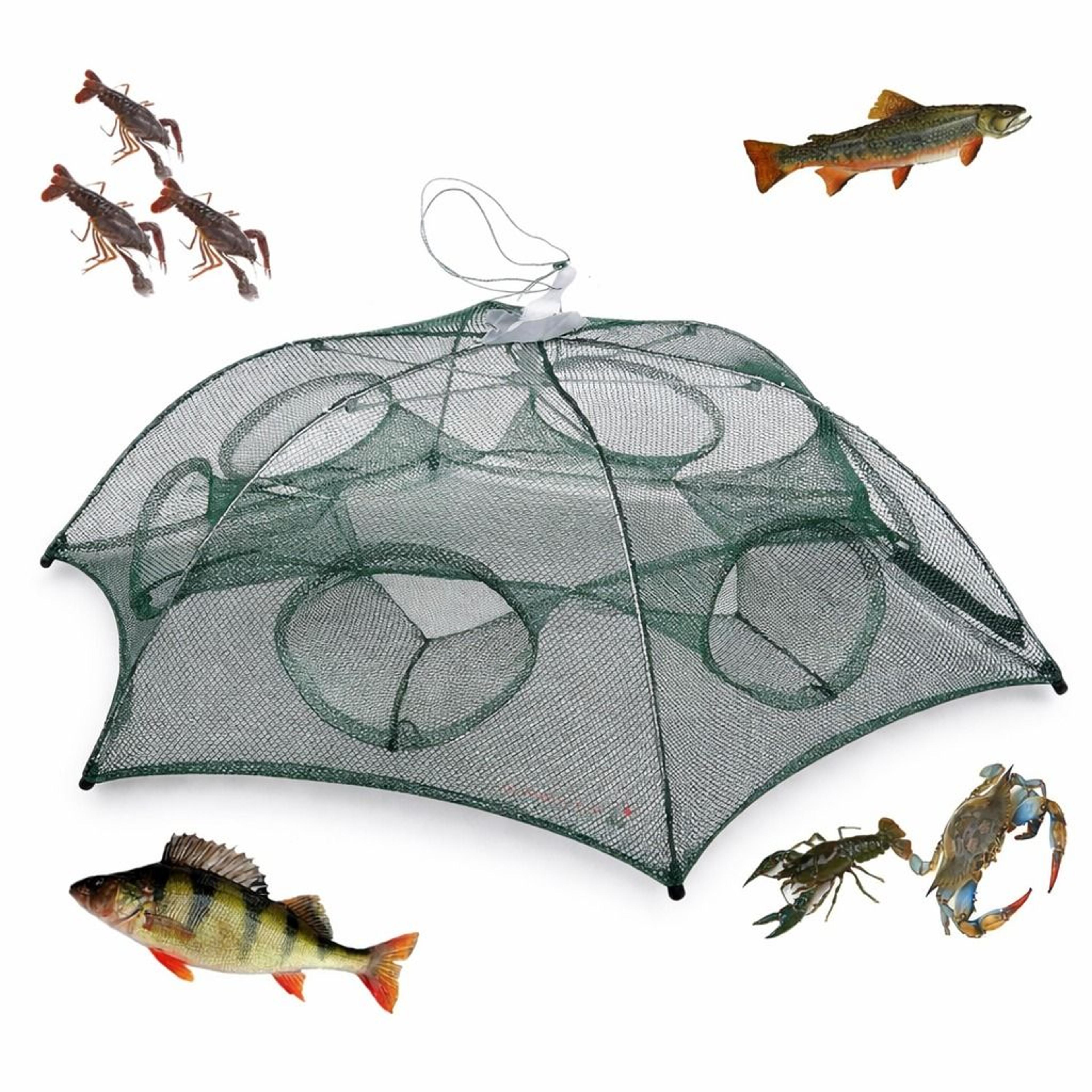 fishing bait trap net foldable crab & crawfish catcher for shrimp, minnow, & fish easy setup, quick drying