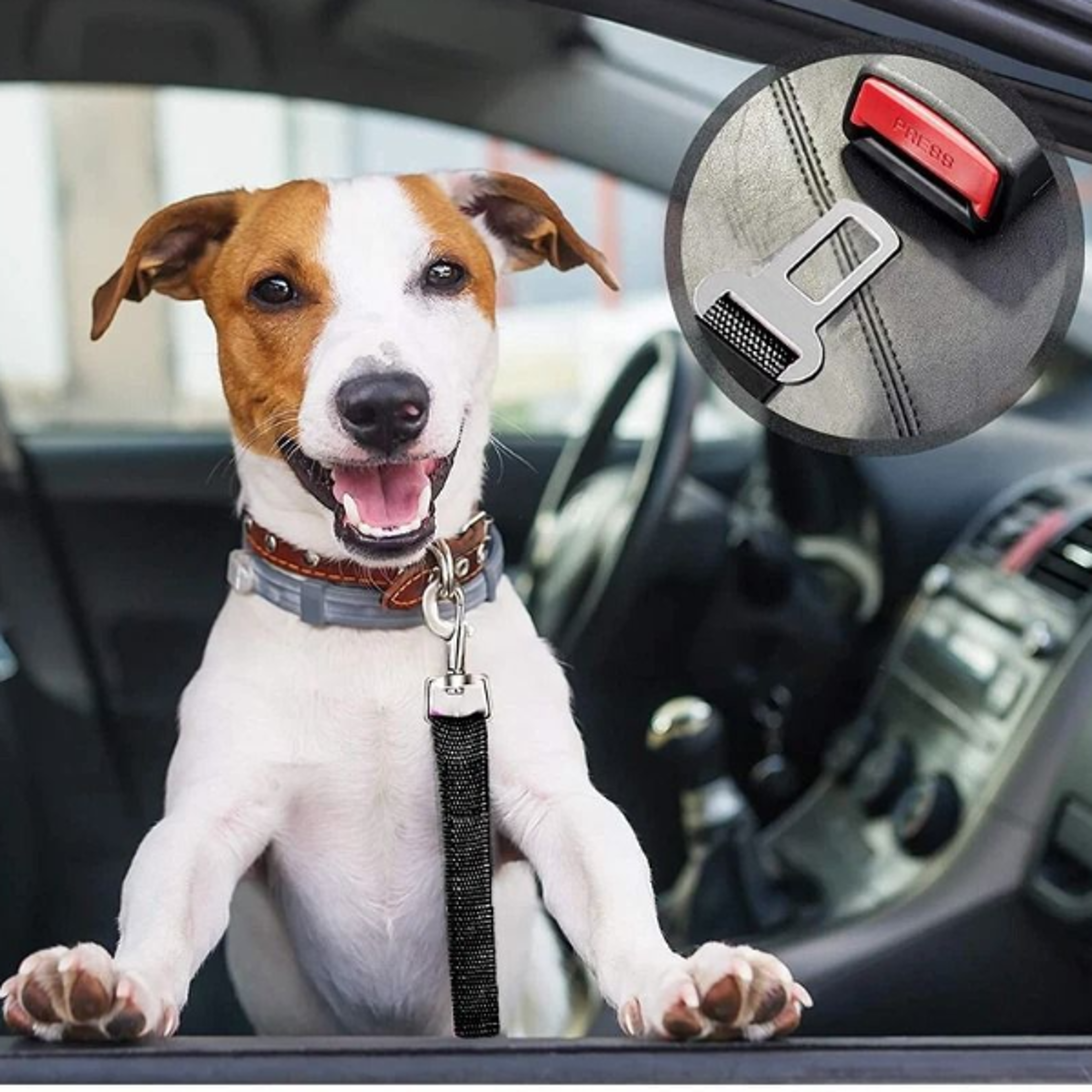 adjustable pet safety seatbelt for car nylon harness for dogs and cats