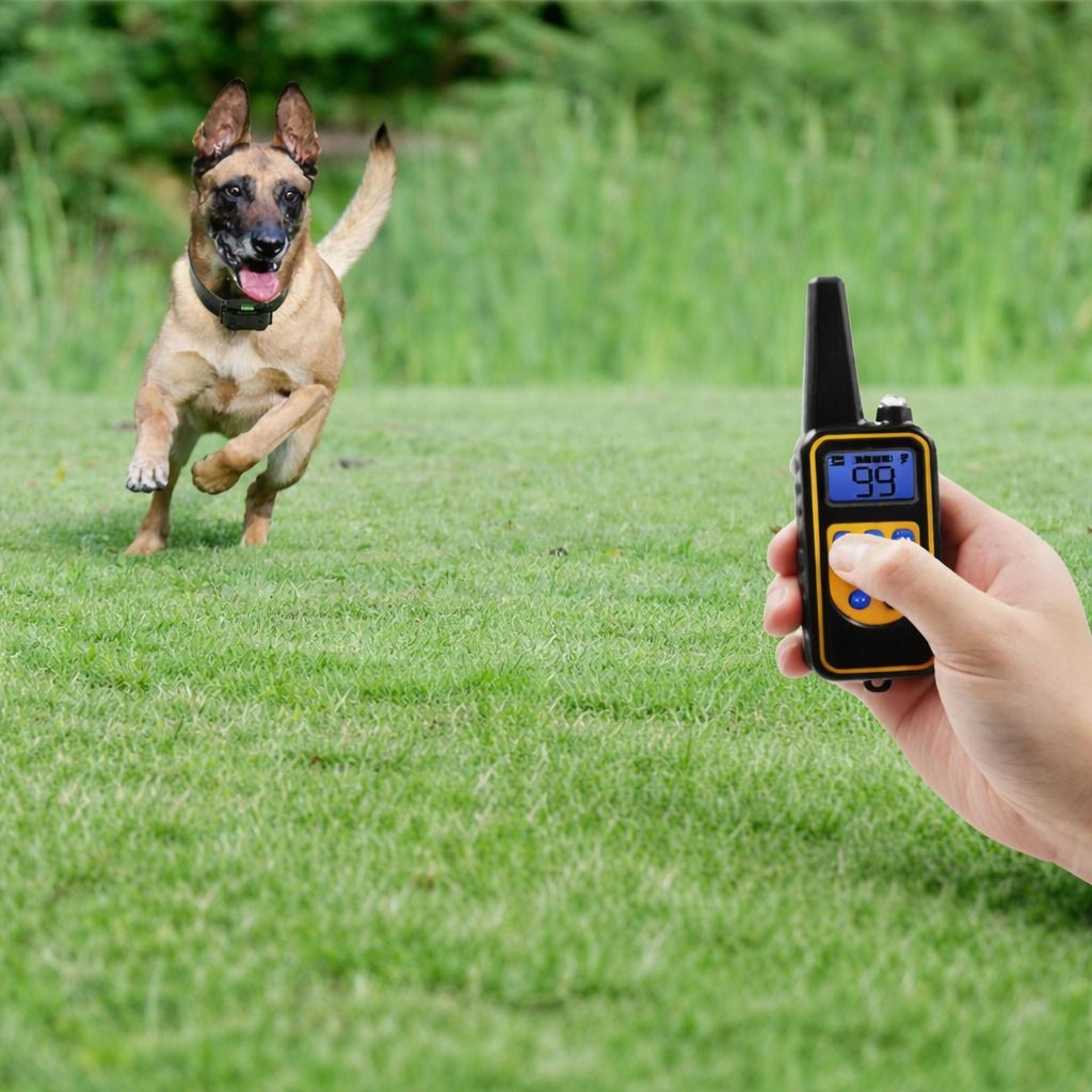 remote dog training collar rechargeable waterproof pet trainer with lcd control for safe and effective training