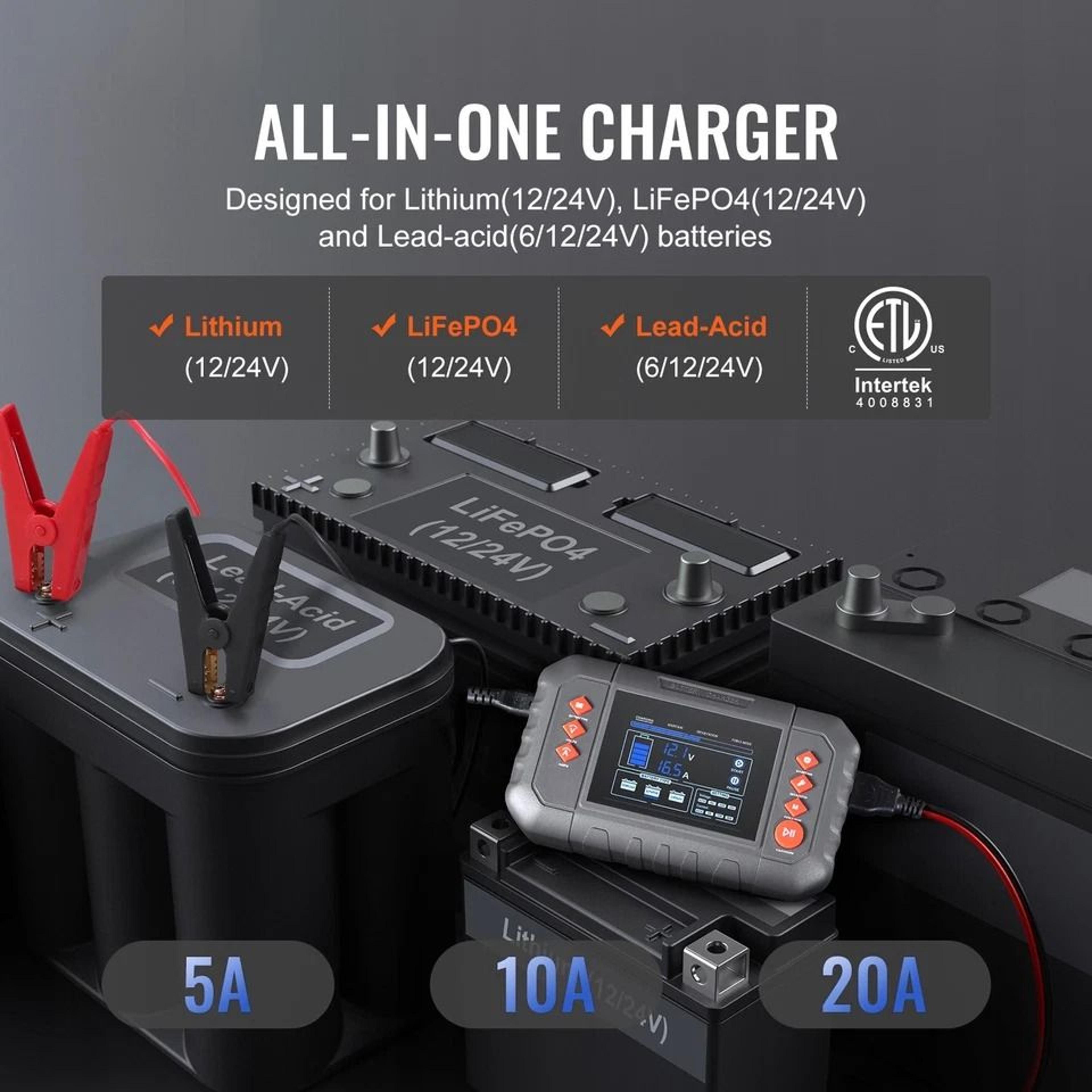 Smart Battery Charger For Lithium And Lead Acid Batteries Auto Range 6