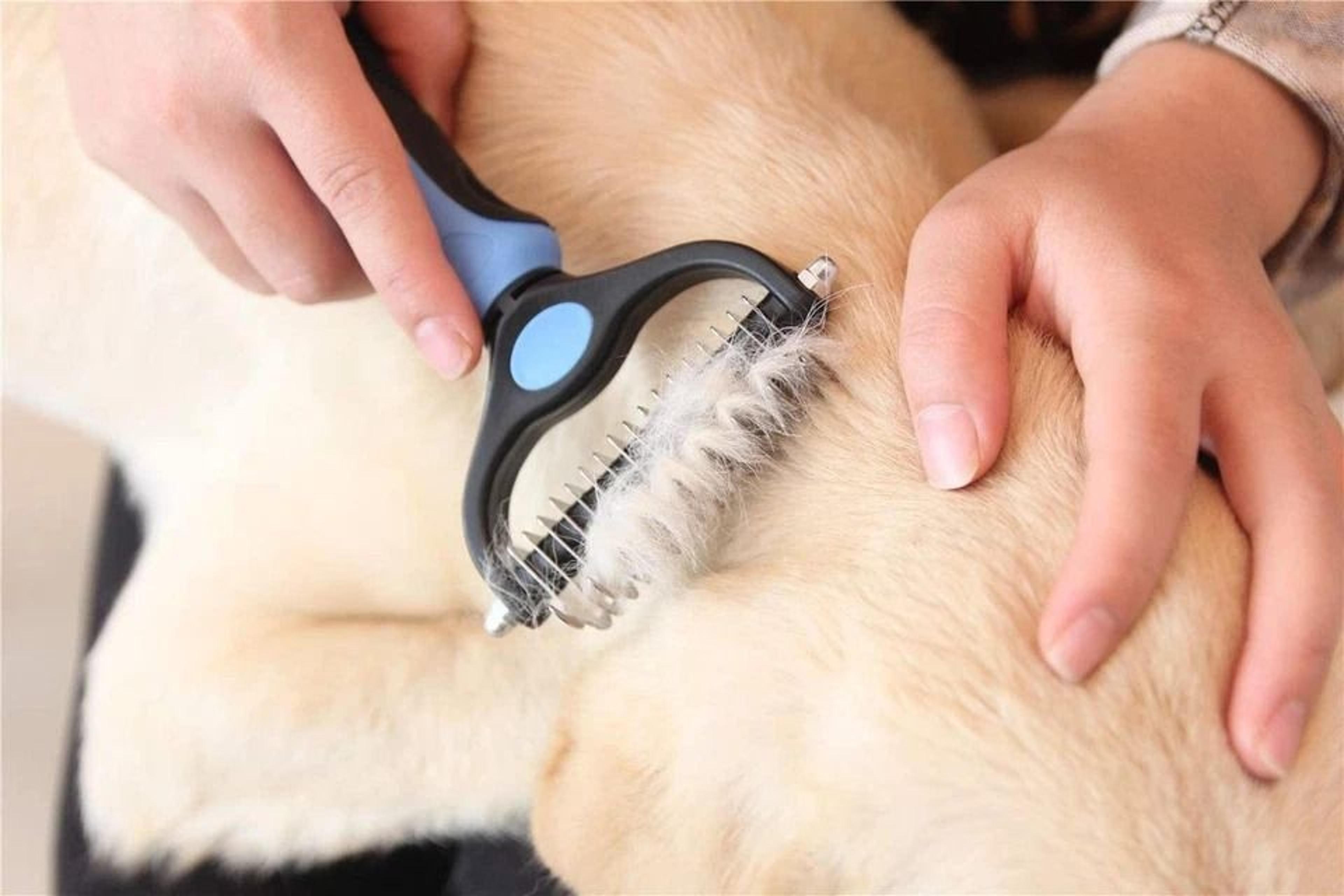 dog & cat grooming brush for shedding, dematting & undercoat care