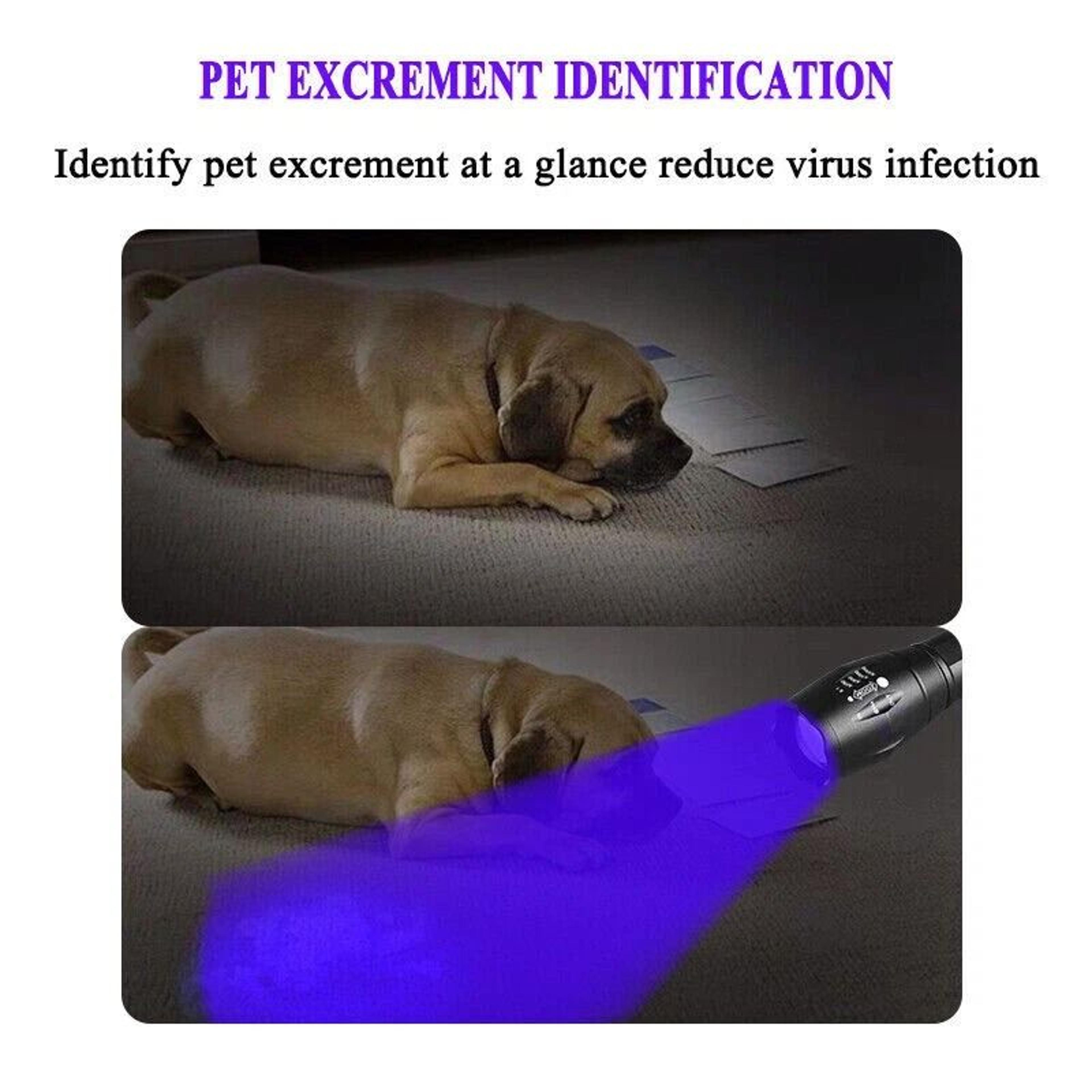 Super Bright UV Flashlight Ultra Violet Blacklight Torch With LED Lamp 8