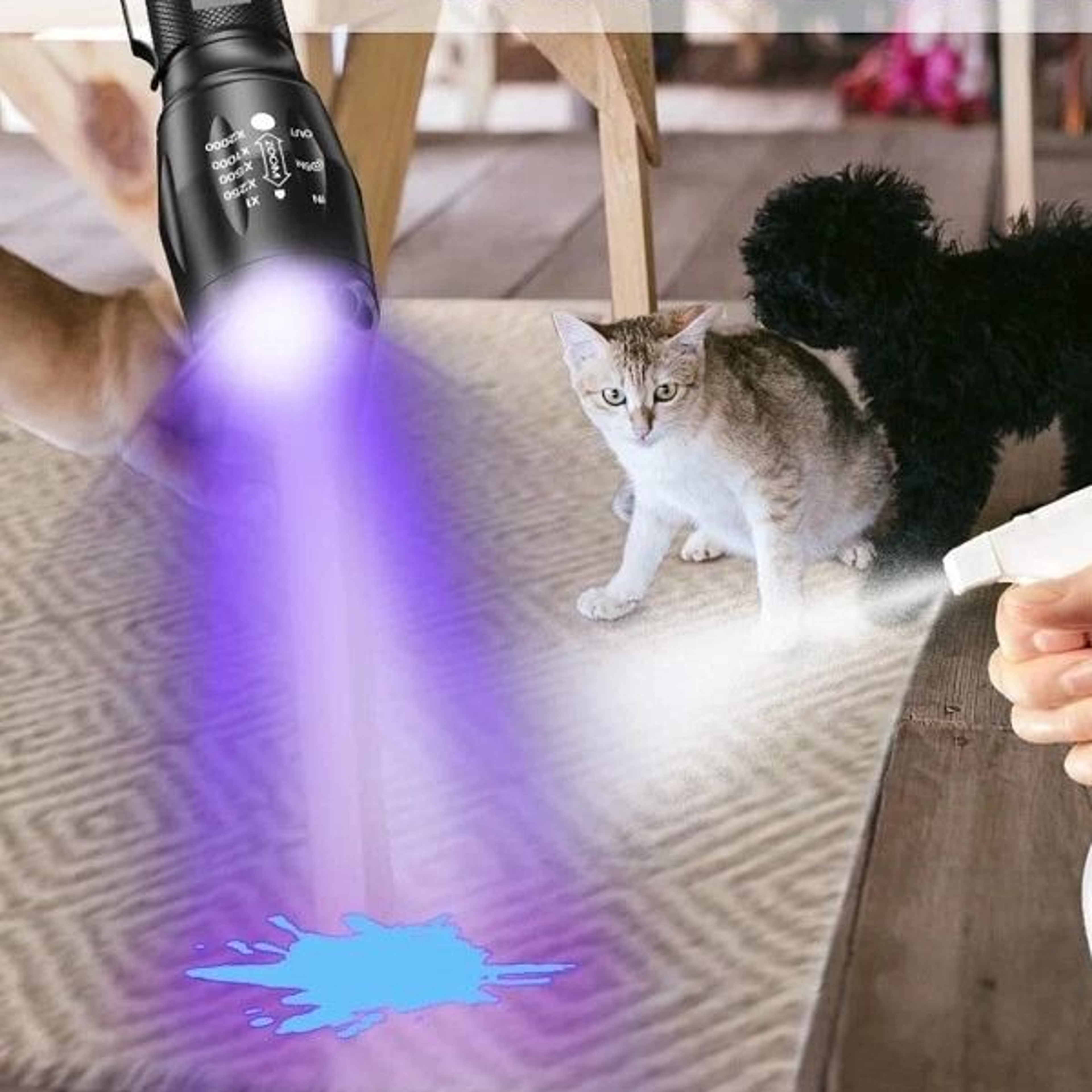 uv flashlight detector torch with dual light zoomable blacklight for currency and id verification