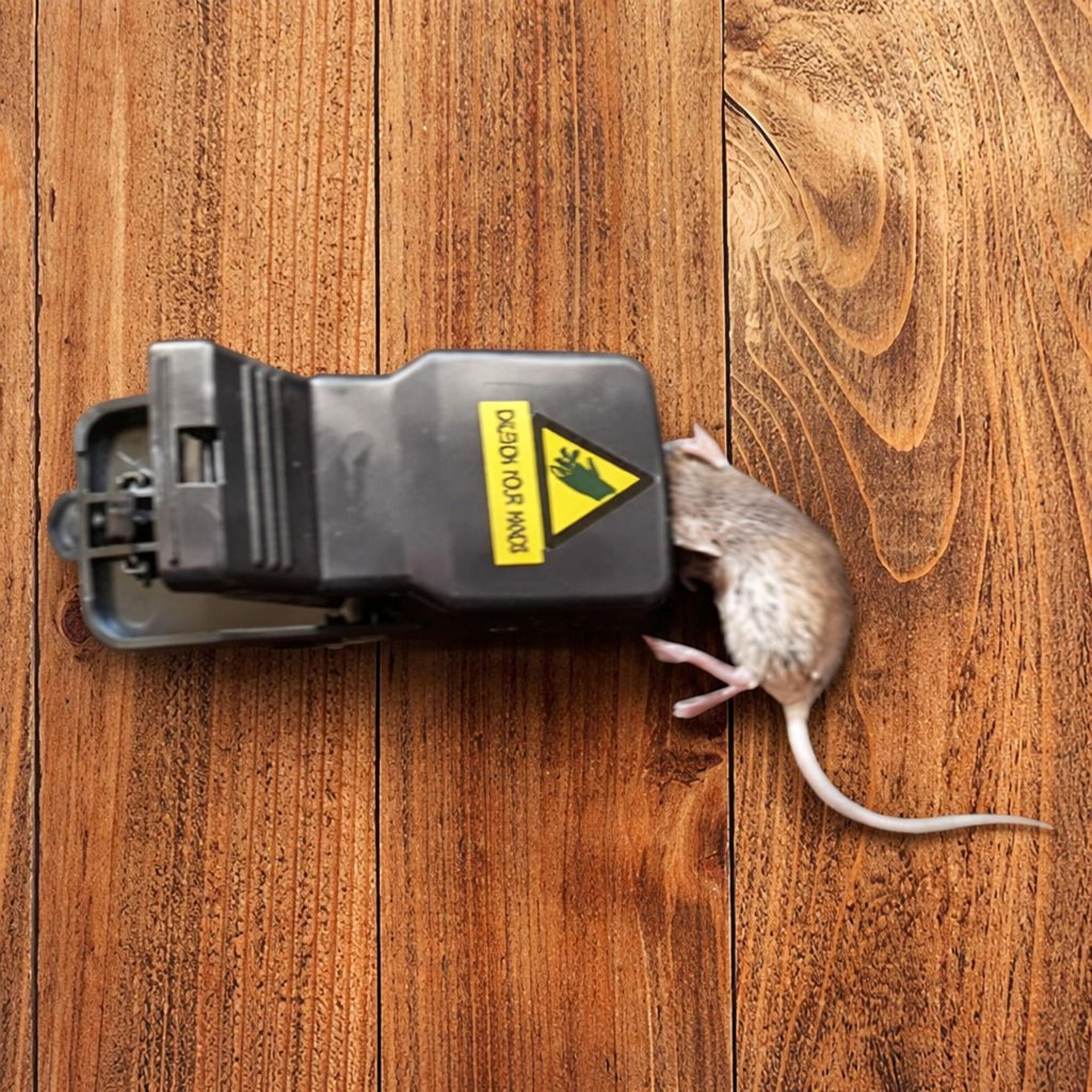 heavy duty reusable mouse traps indoor outdoor quick kill rat trap set