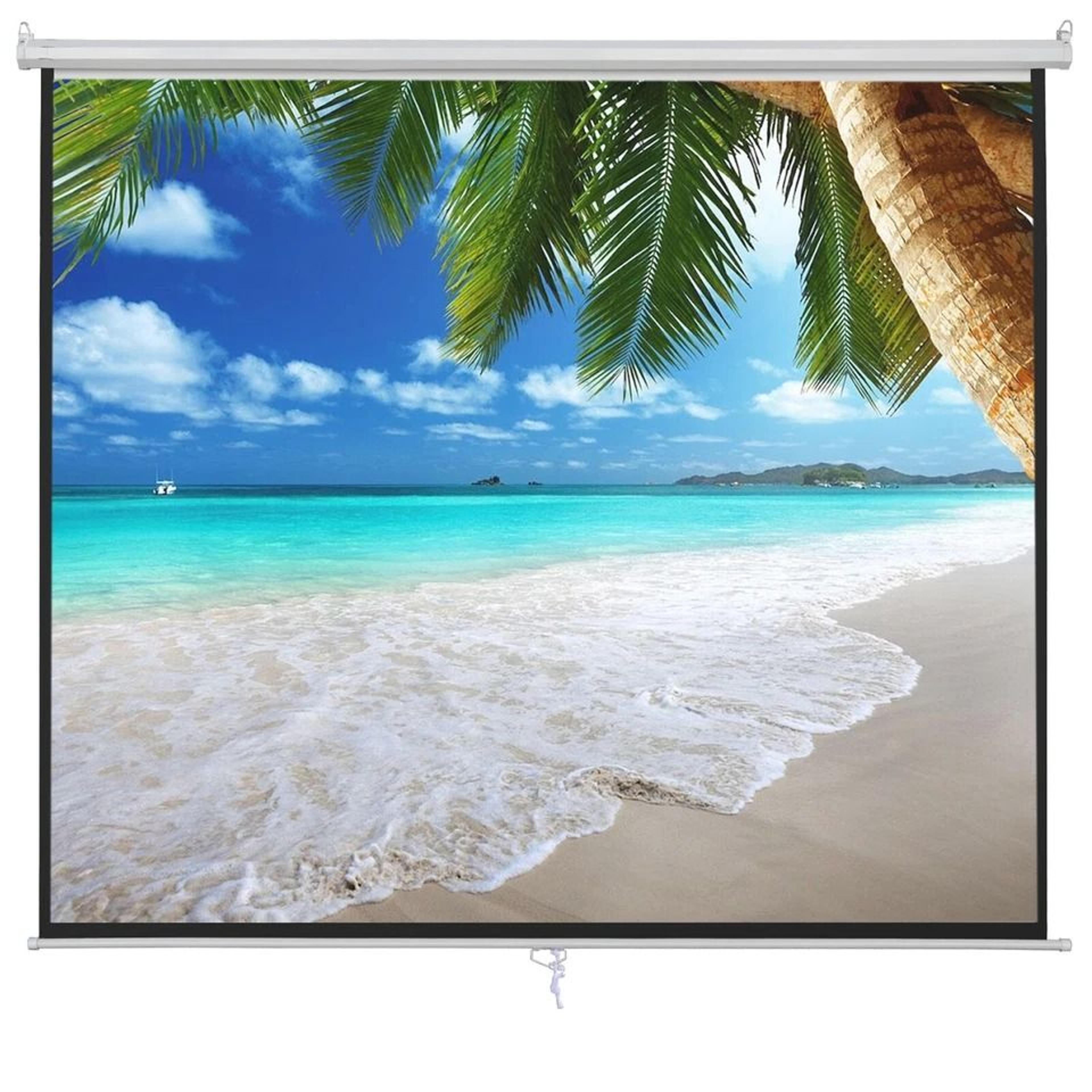 Manual Pull Down Projector Screen For Home Theater HD Projection Display 6