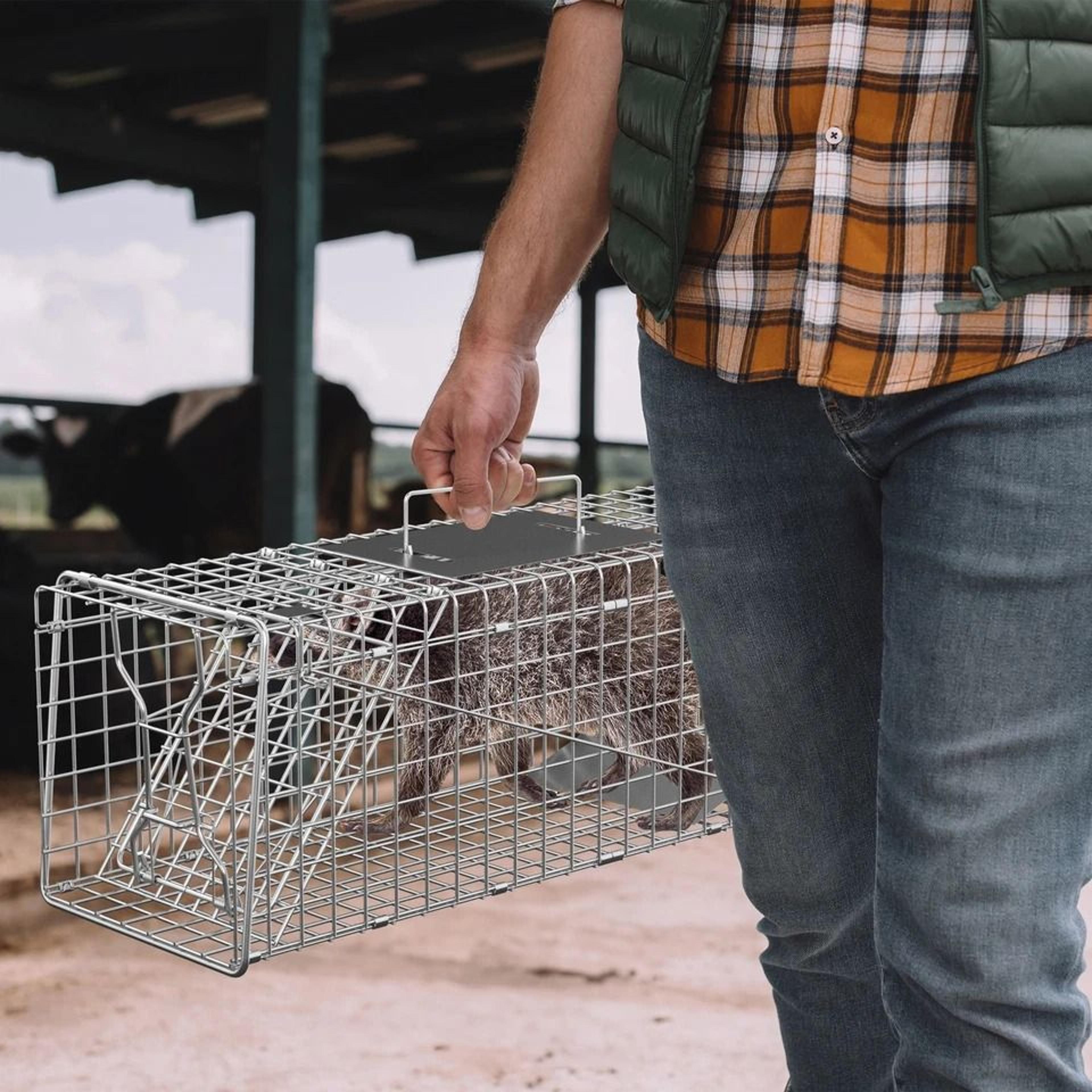 humane live animal trap cage for rabbit, raccoon & squirrel control durable easy release design