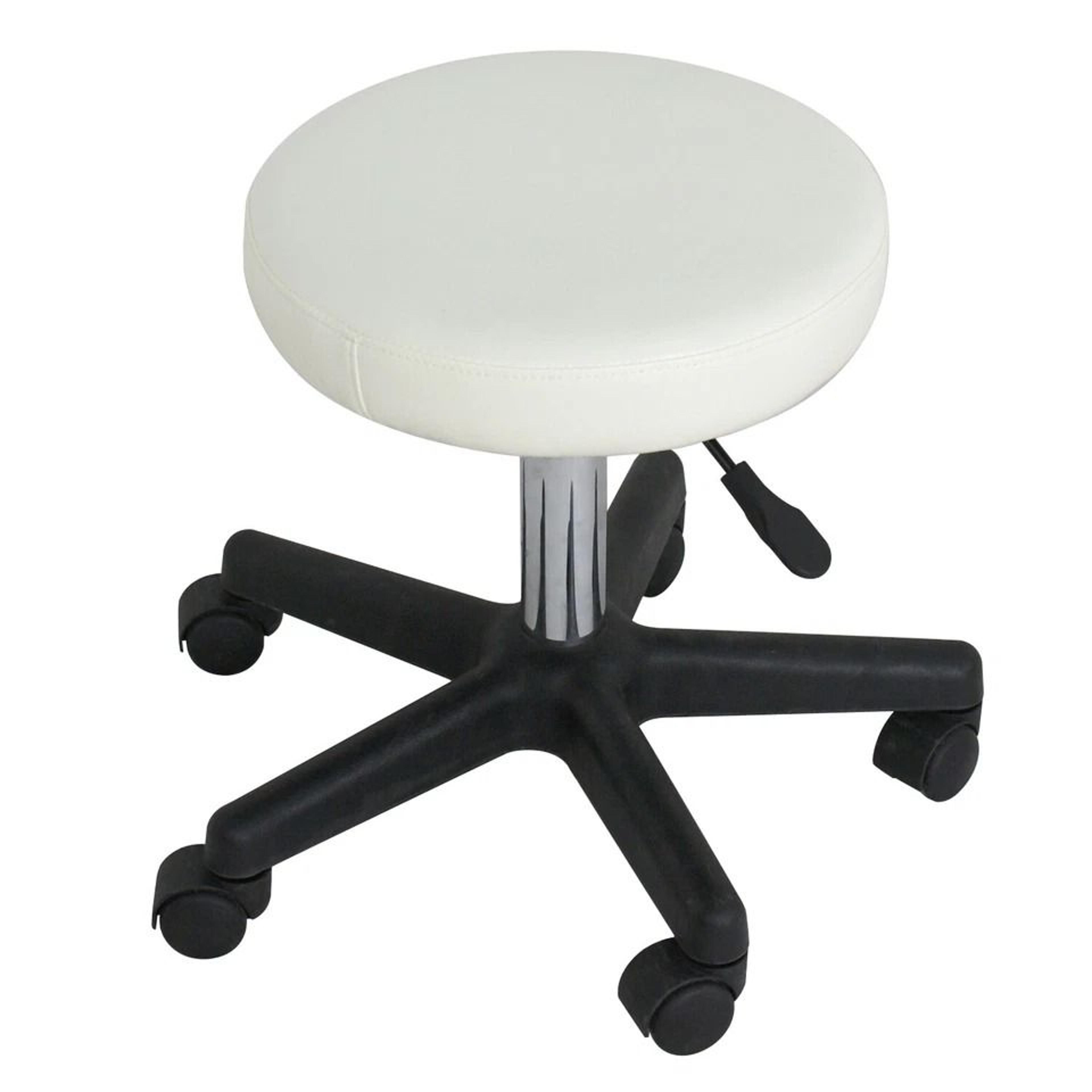 Adjustable Hydraulic Salon Stool Rolling Spa Chair 2