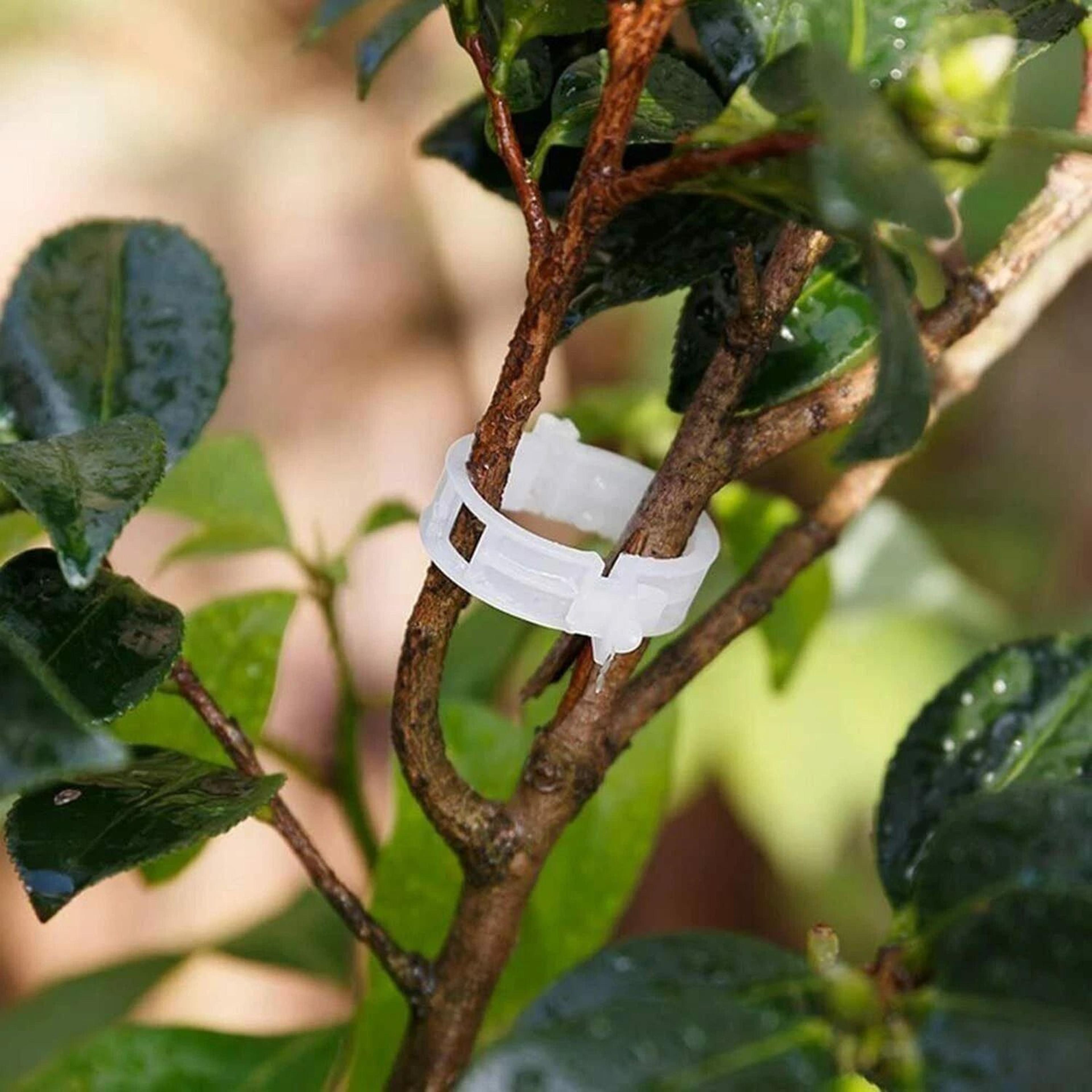 tomato trellis clips reusable plant support clips for garden vines