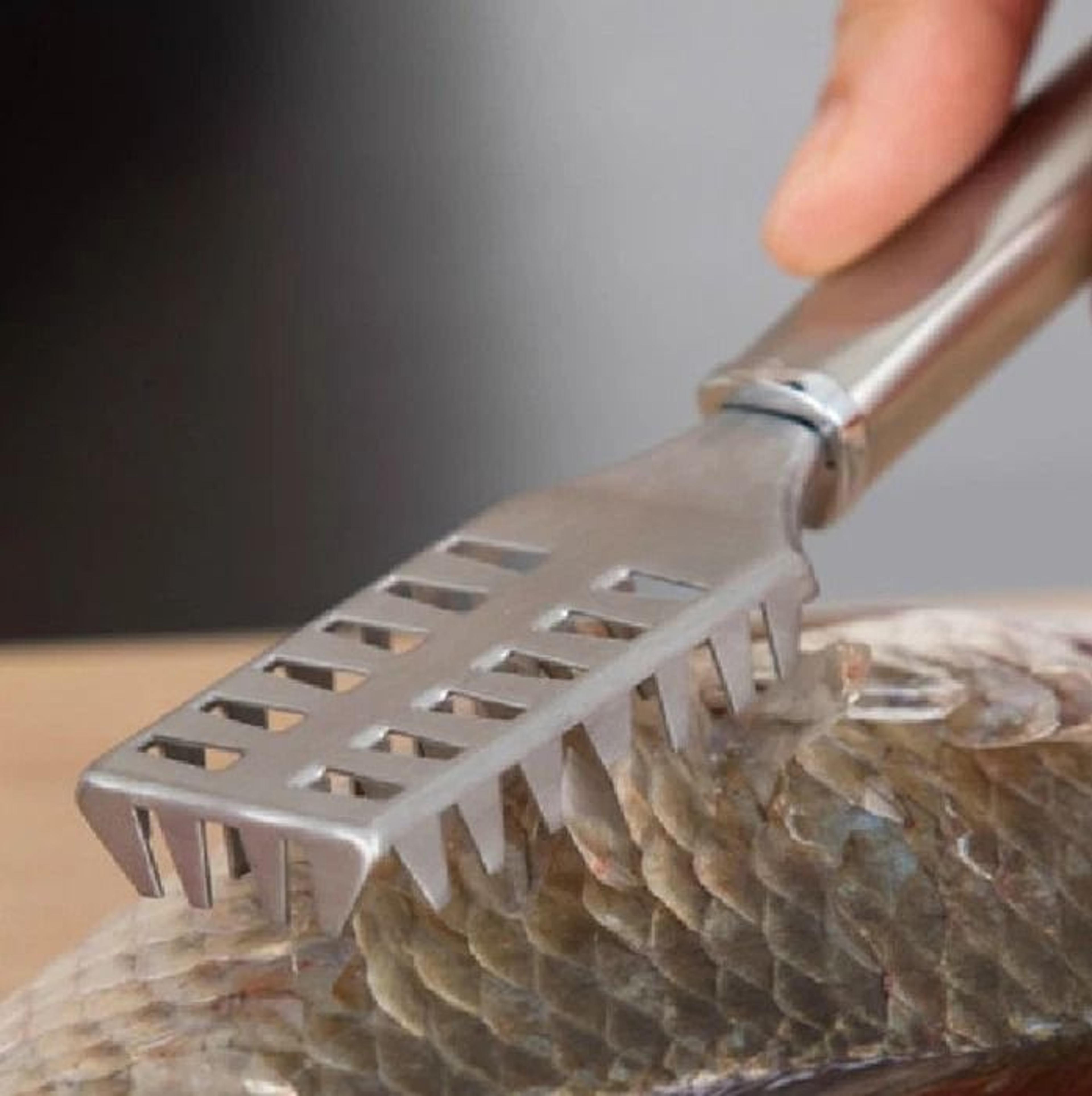 stainless steel fish scaler set manual fish scale remover tool