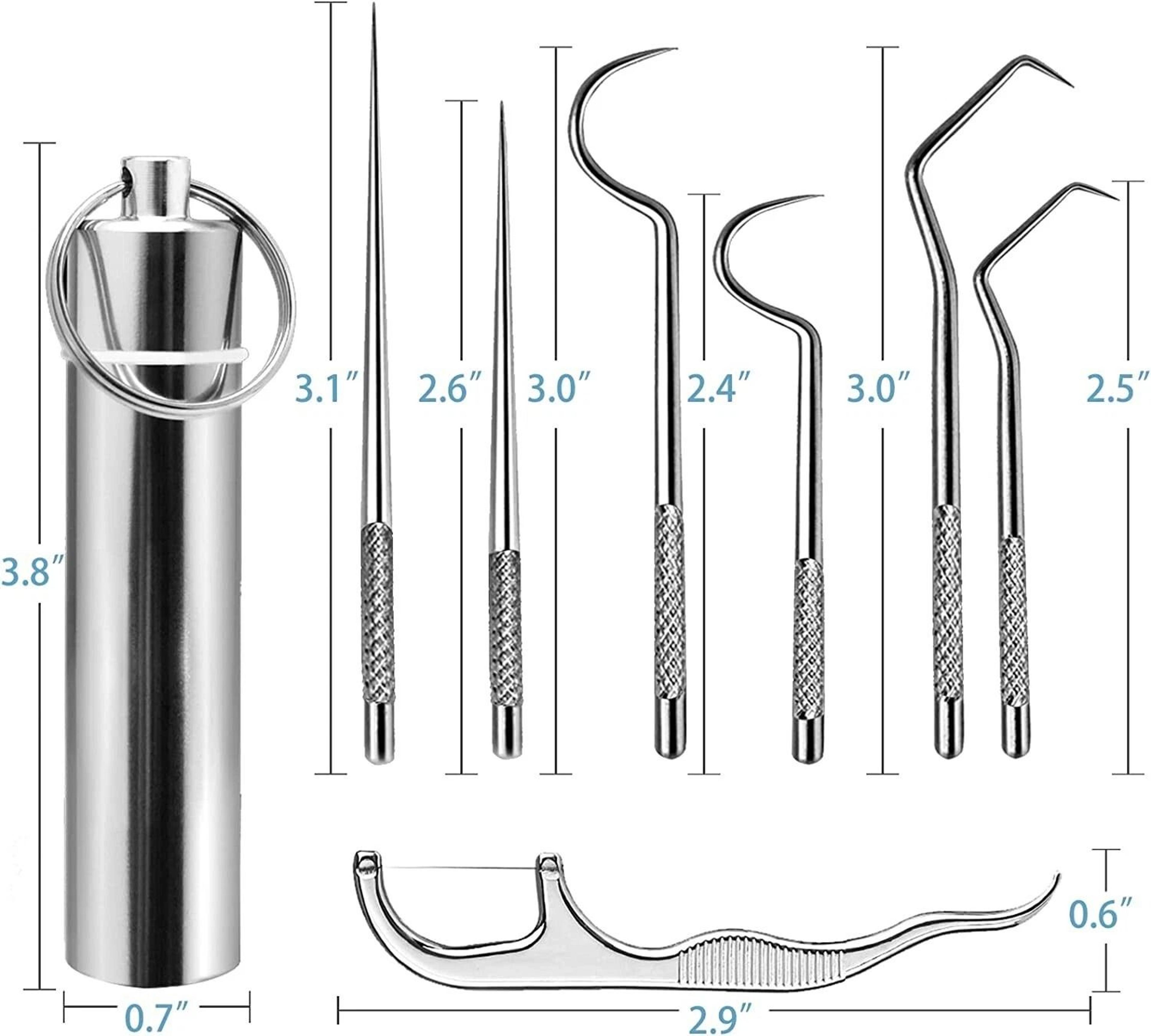 Portable Toothpick Set Stainless Steel Reusable Dental Pick Kit With Travel Case 4