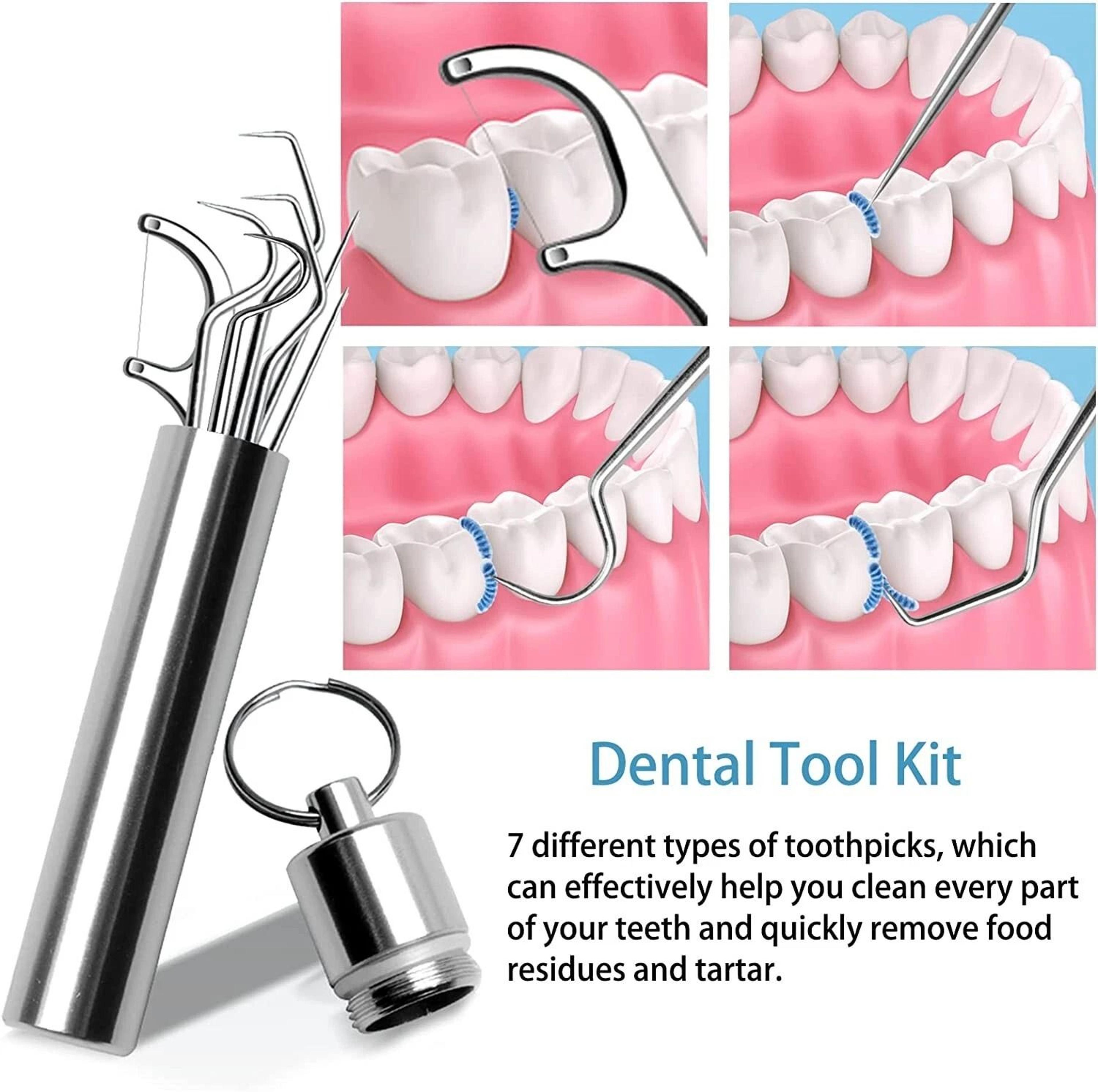 Portable Toothpick Set Stainless Steel Reusable Dental Pick Kit With Travel Case 2