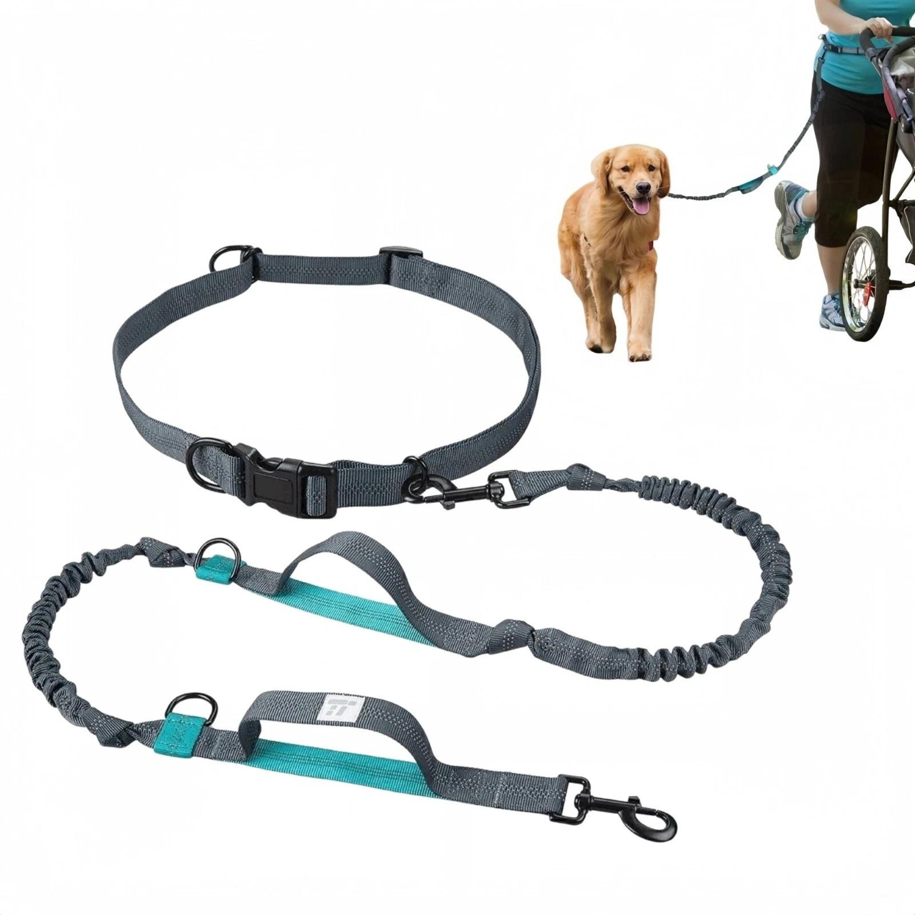 hands free dog leash with waist pouch reflective bungee running belt