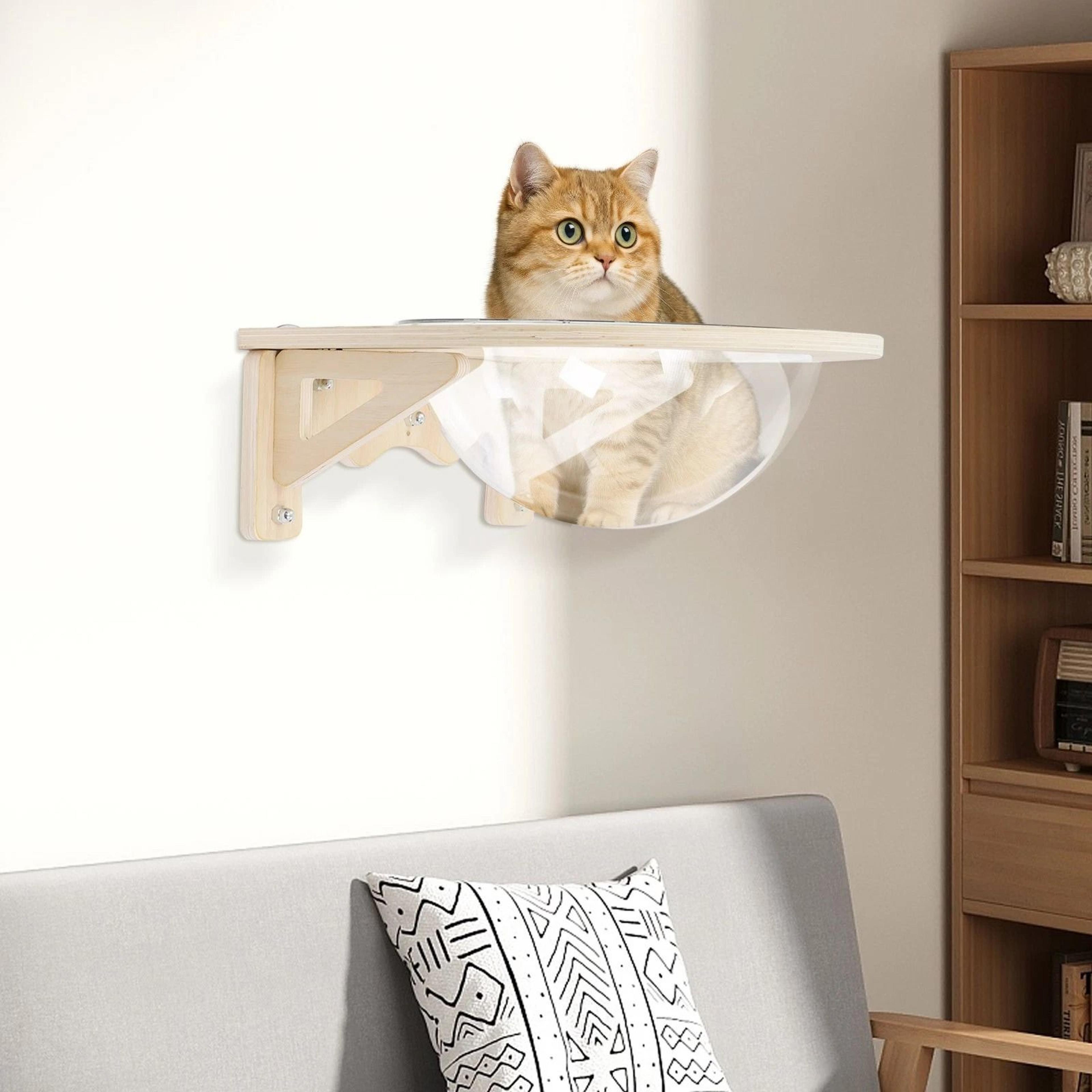 premium wooden wall mounted cat wall shelf with clear space capsule lounges