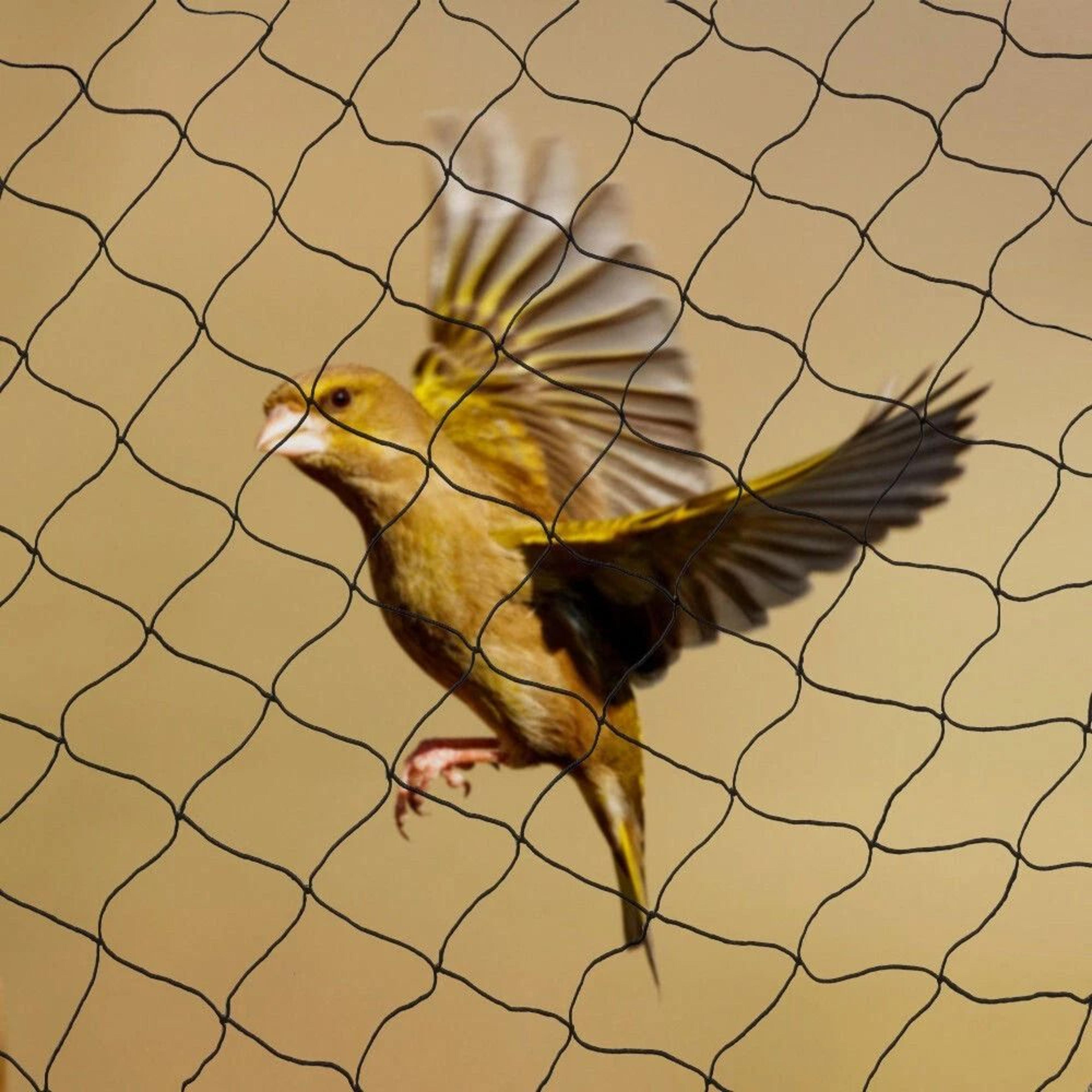 heavy duty bird netting for garden poultry aviary protection