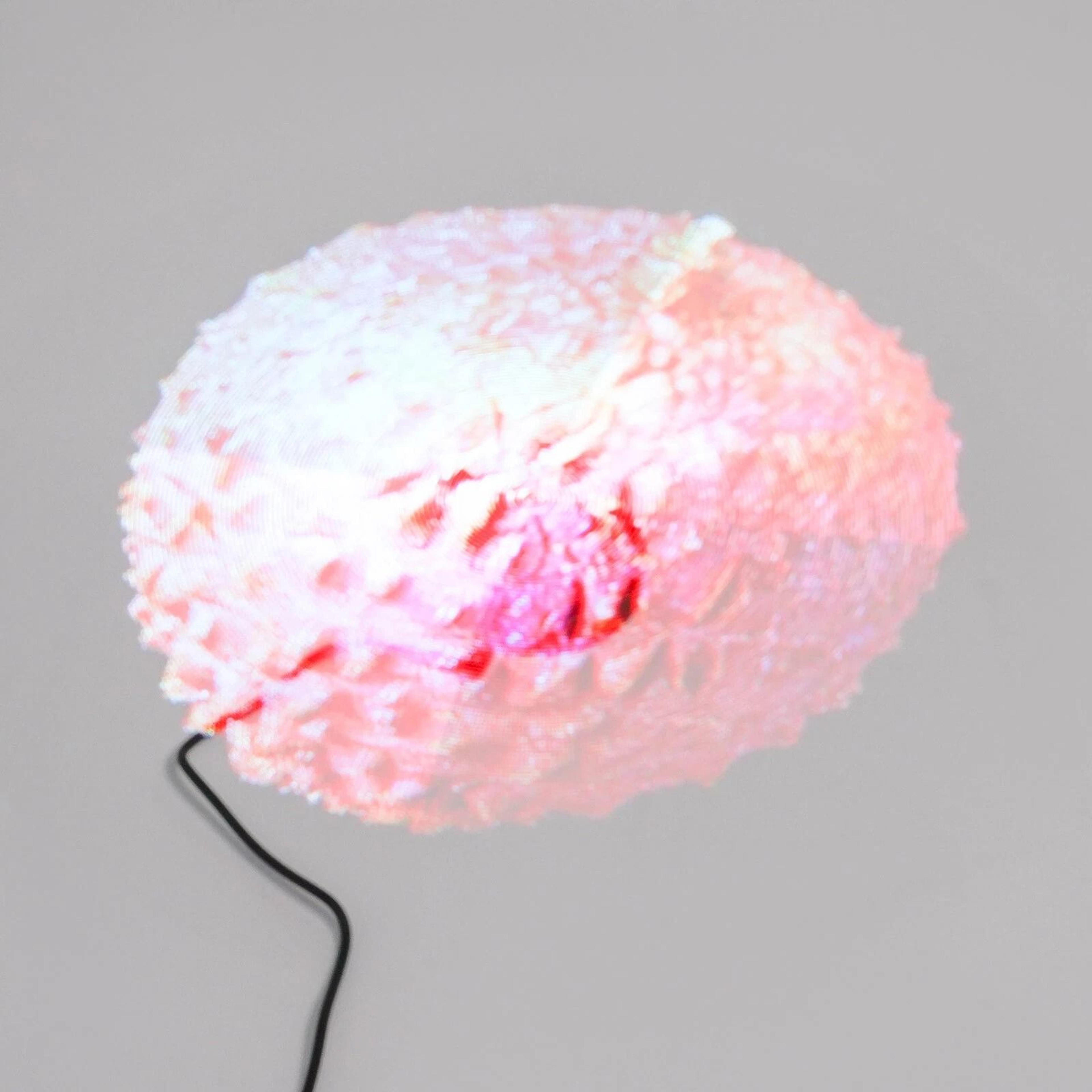 Holographic Fan Projector RGB LED Hologram Display With Remote Control 3