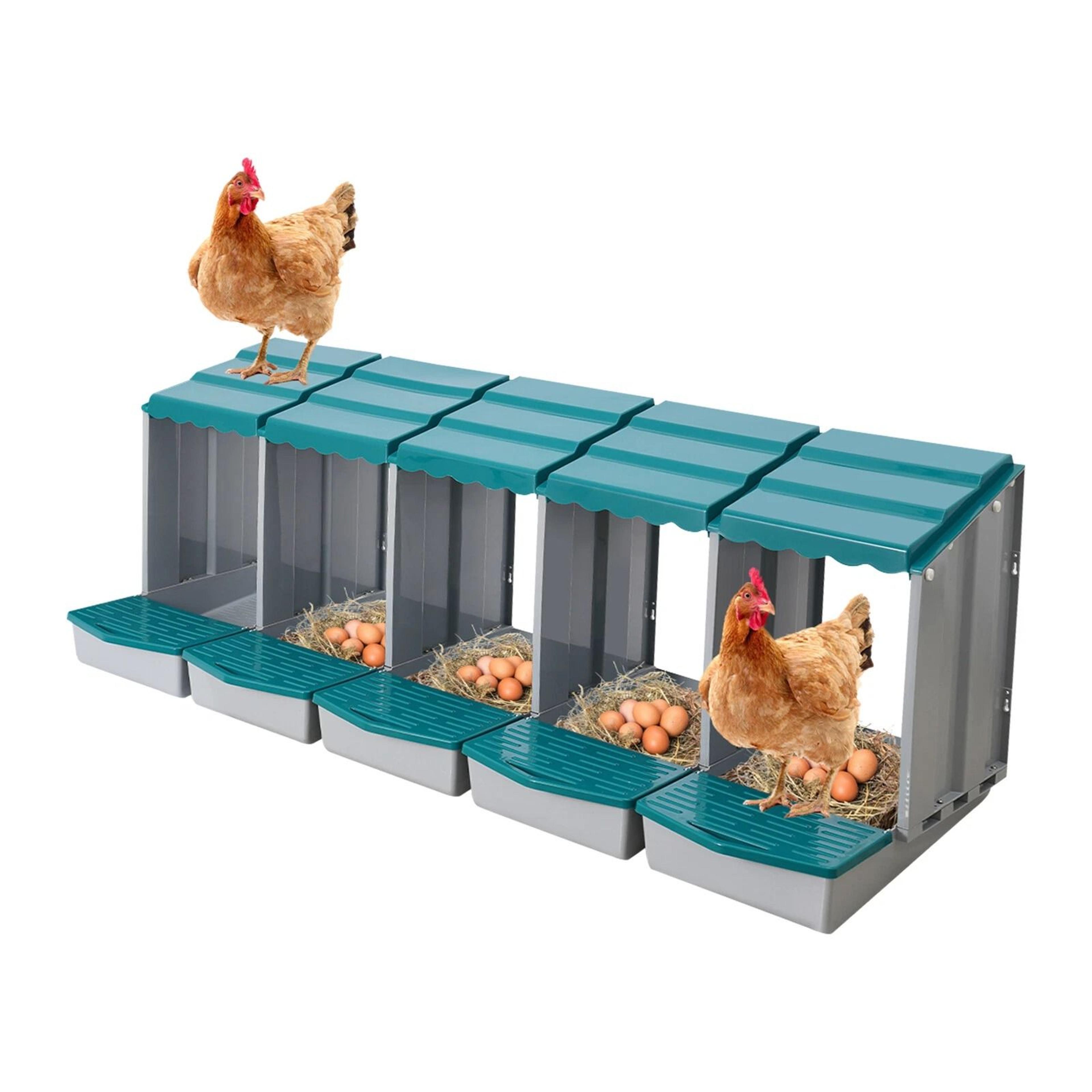 Compartment Chicken Nesting Box With Roll Away Egg Collection 16