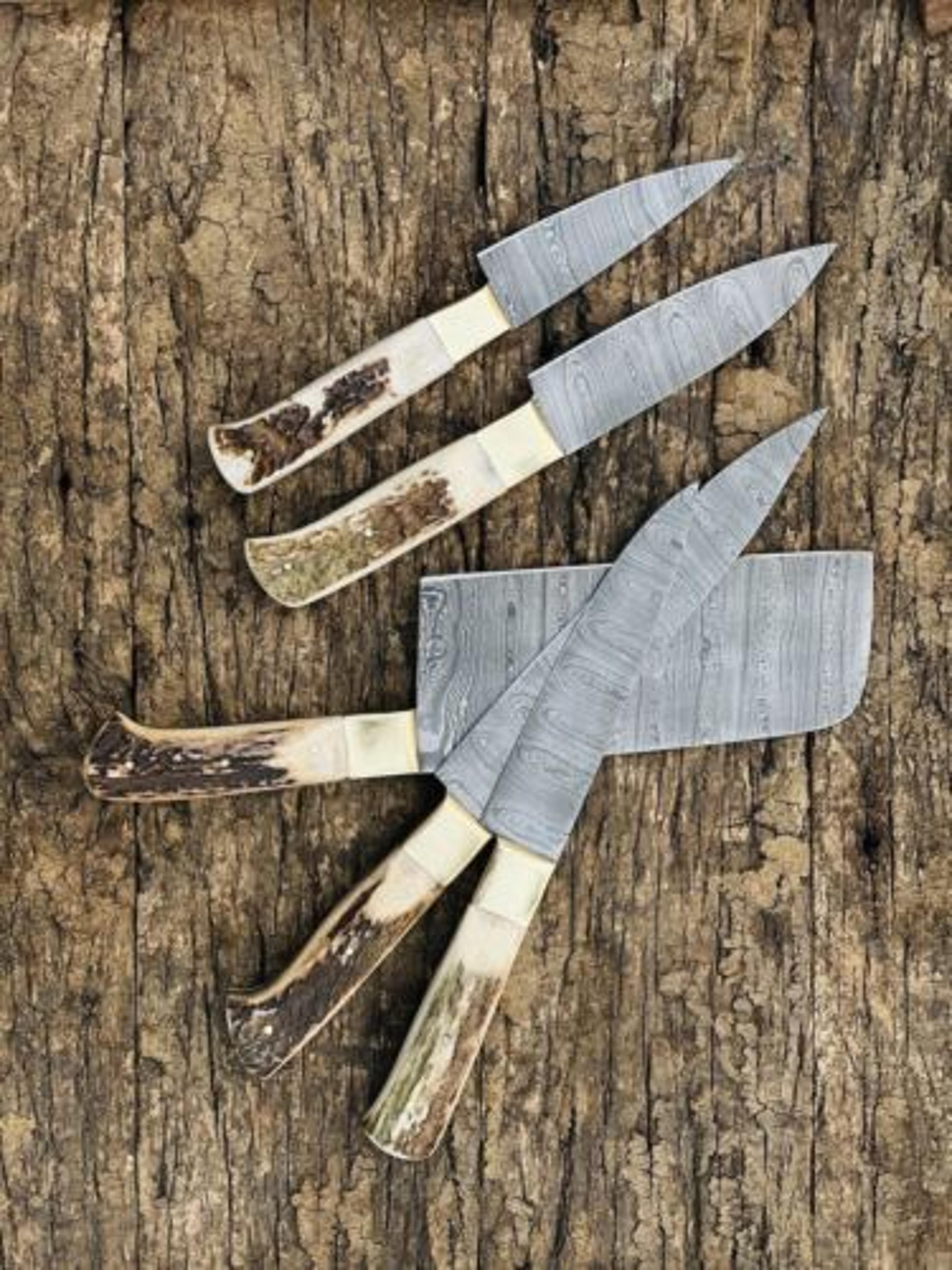 Custom Handmade Damascus Steel Chef Knife Set  Stag Handle Premium Quality 1