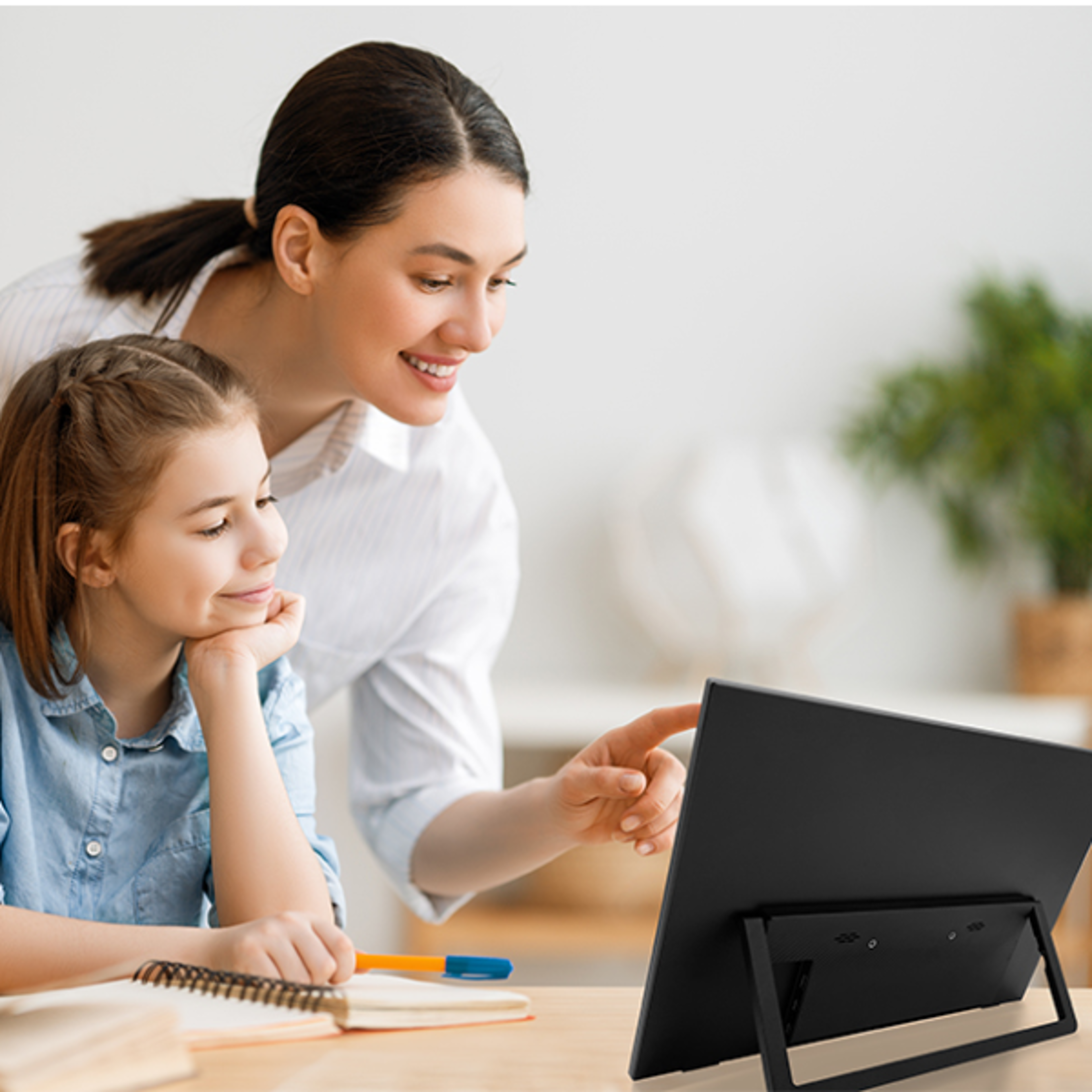 portable mobile monitor, ips display for laptop, second game screen.