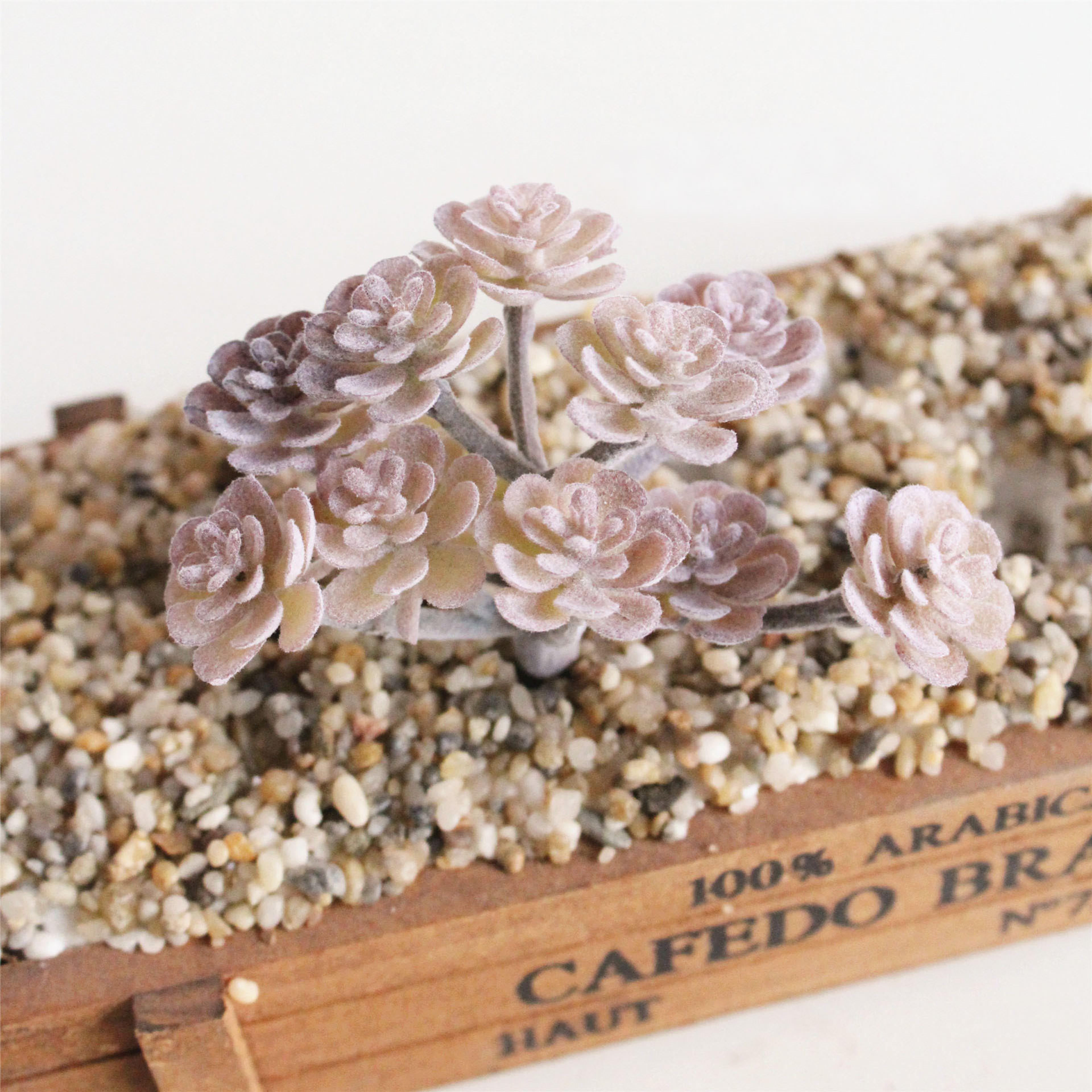 Purple Succulent Plants For Home Bedroom Living Room Bathroom  Holiday Party Bonsai Decor 1